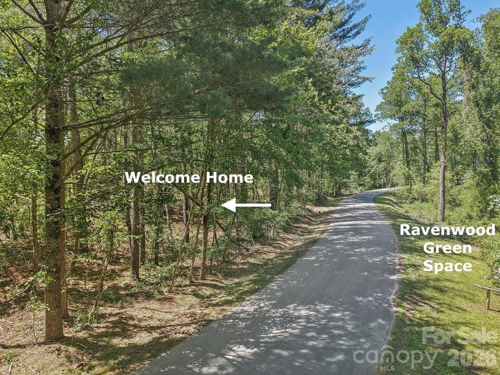 Property Photo:  000 Ravenwood Drive 6  NC 28732 