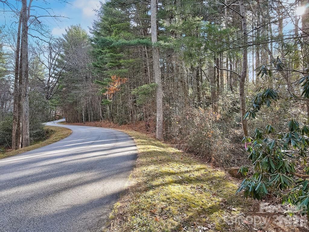 Property Photo:  000 Ravenwood Drive 6  NC 28732 