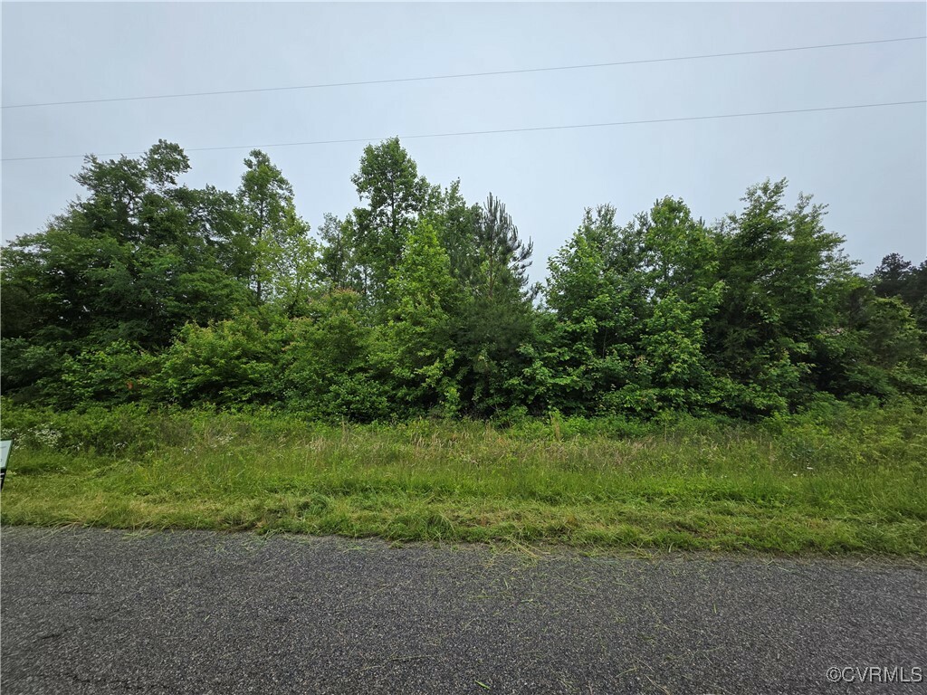 Property Photo: 0 Tbd Plank Road VA 23944