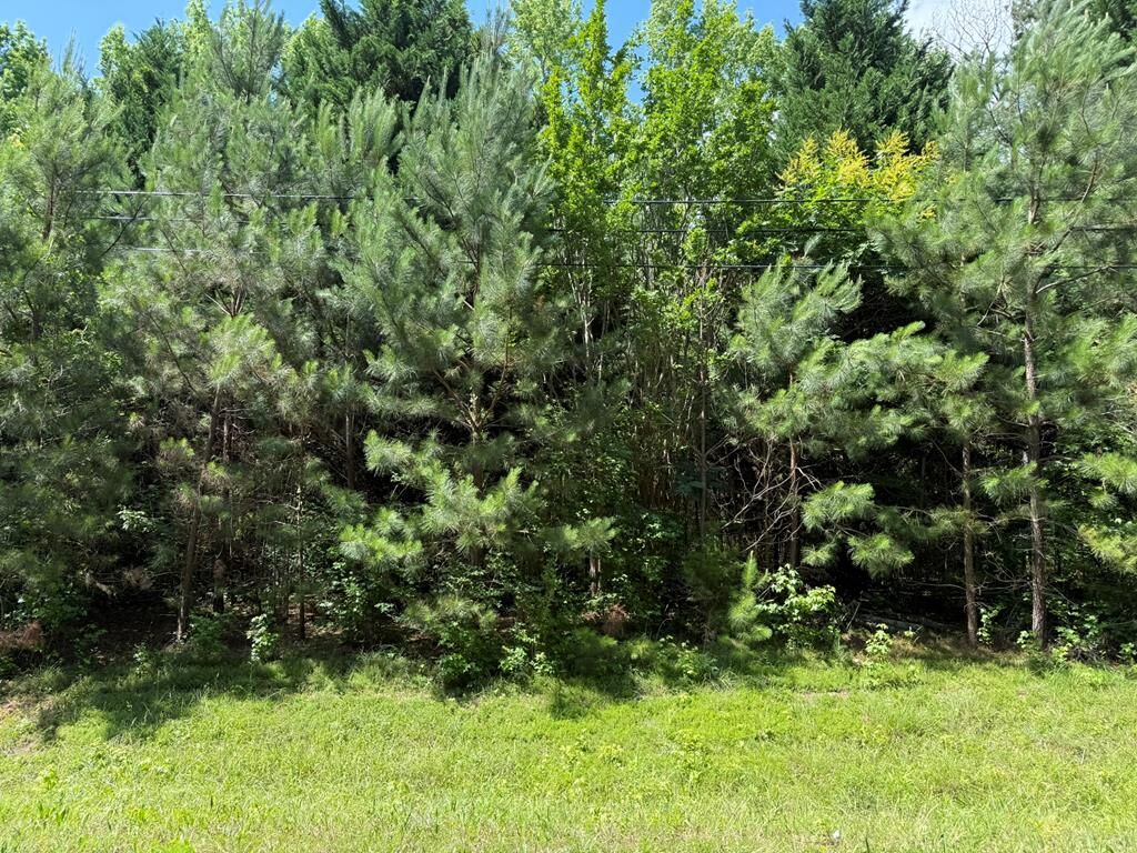 Property Photo:  1425 River Road  GA 31830