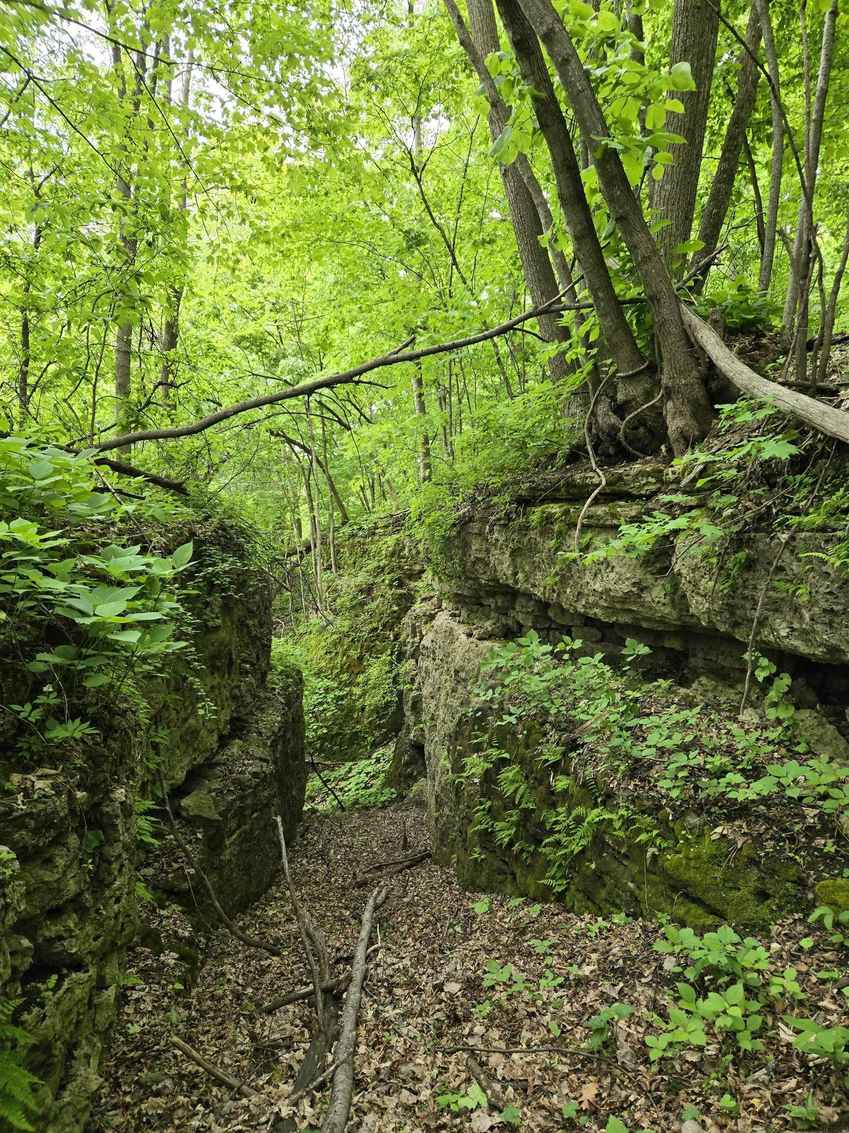Property Photo: Partridge Road IA 52053