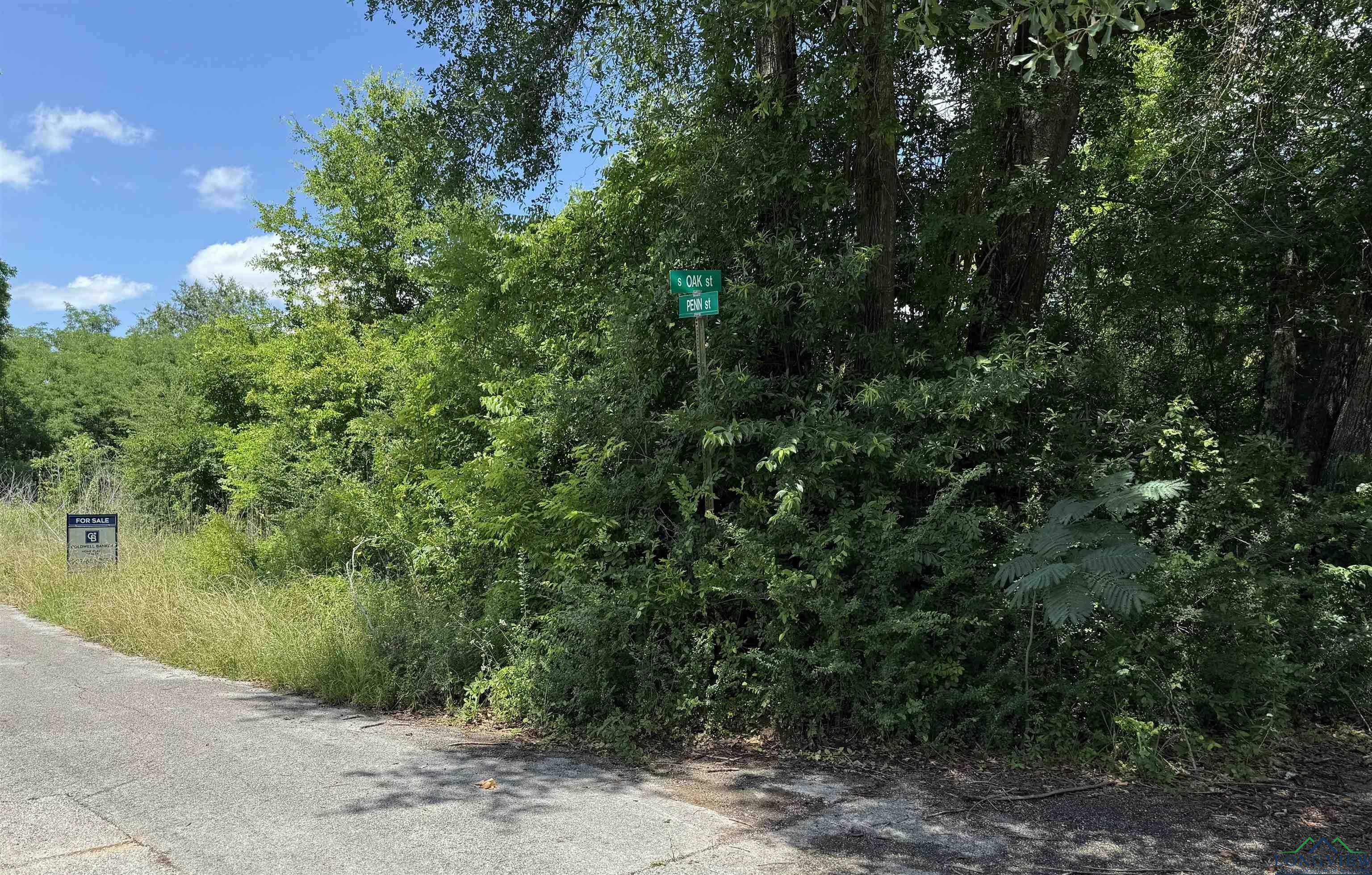 Property Photo: Tbd (+/-4.32ac) Penn St TX 75654