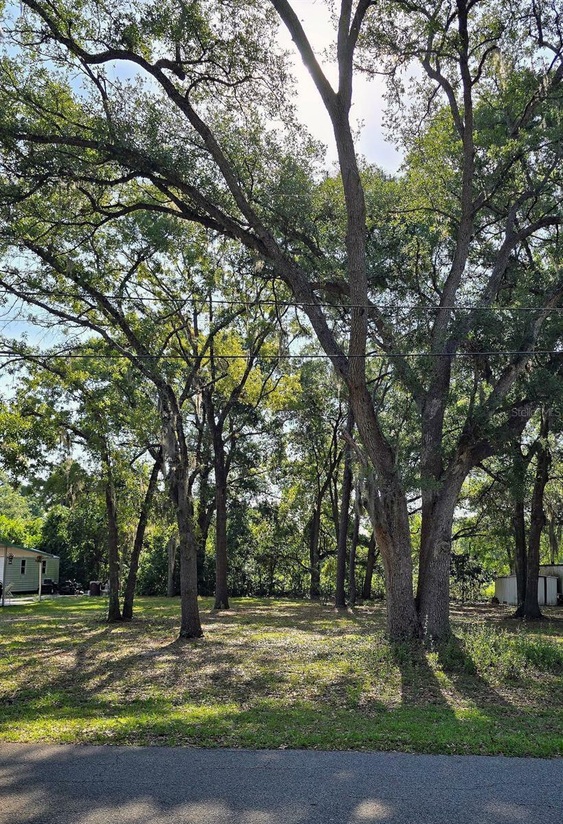 Property Photo: 16055 SE 99th Terrace FL 34491