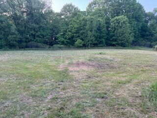 3873 W 136th Street  Grant MI 49327 photo