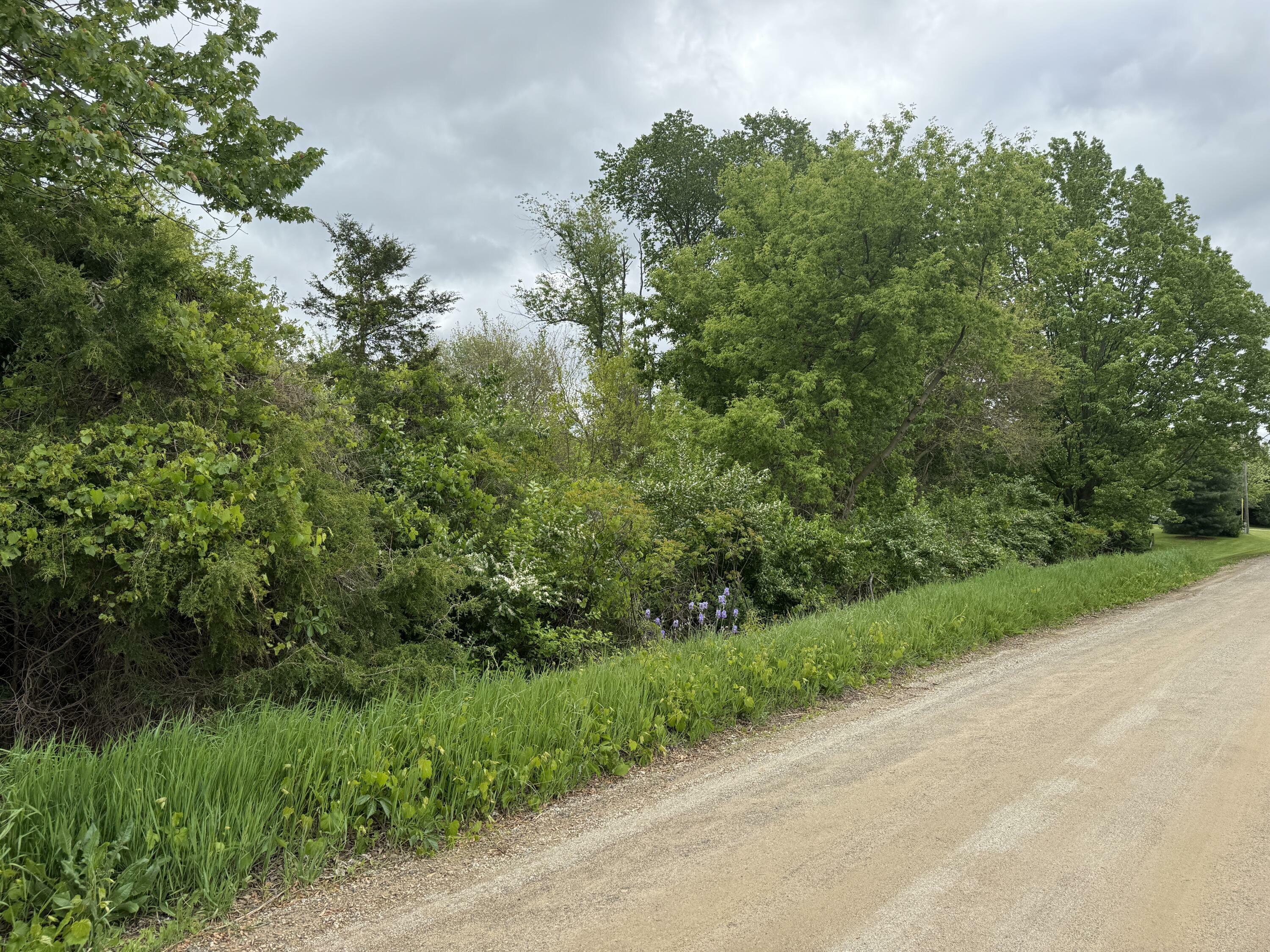 Property Photo: Vl Carlysle Drive MI 49230
