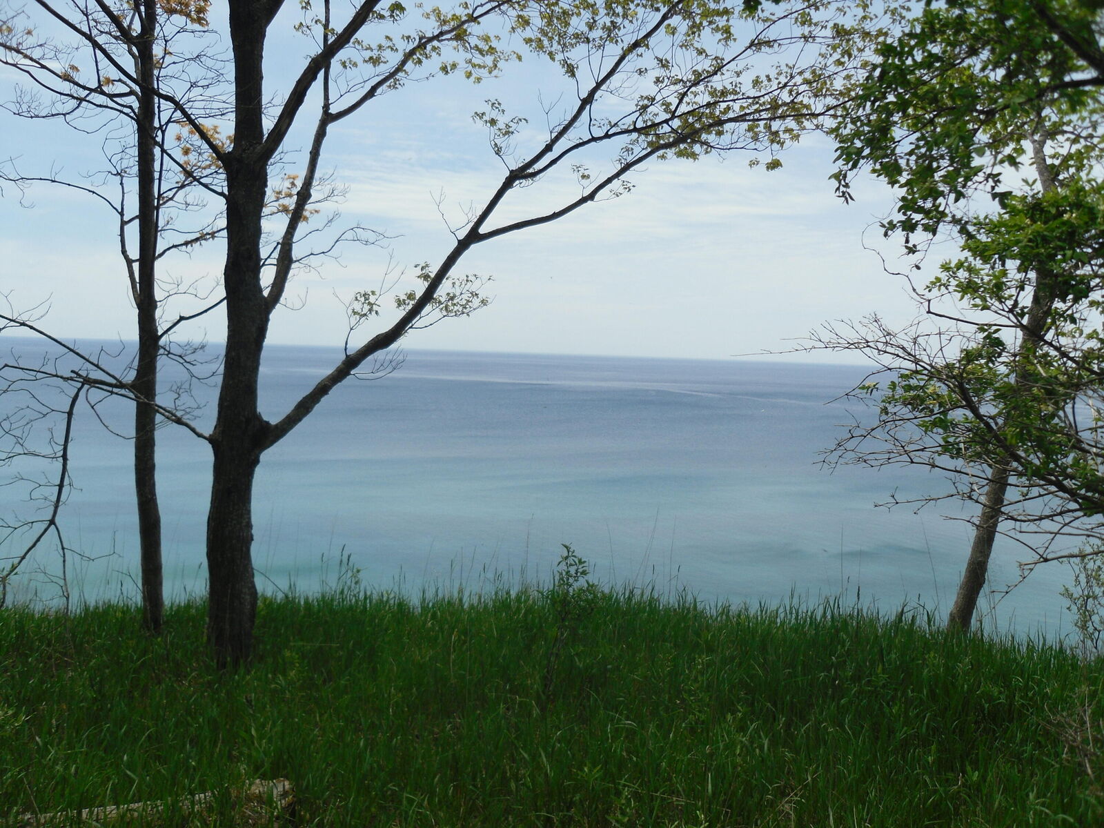 Property Photo:  S Lakeshore Drive  MI 49431 