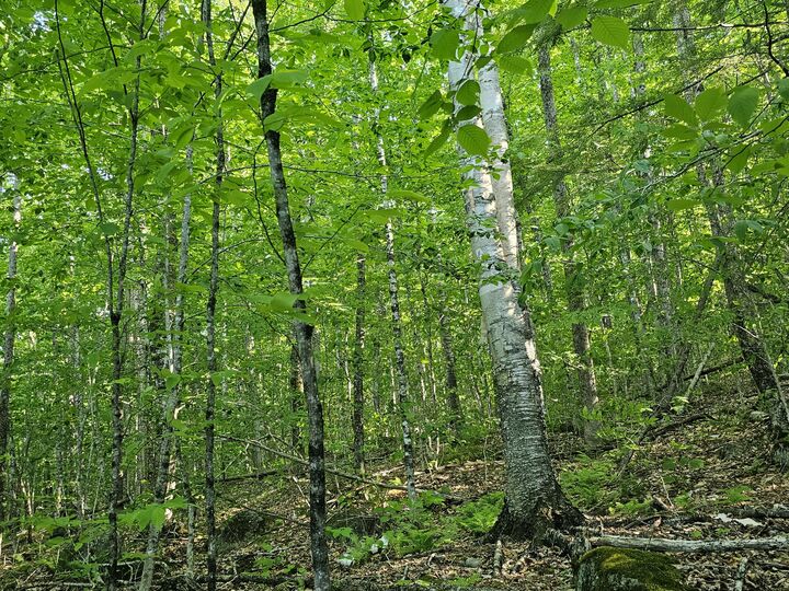 Property Photo:  PO M23-L6 Great Moose Drive  ME 04943 