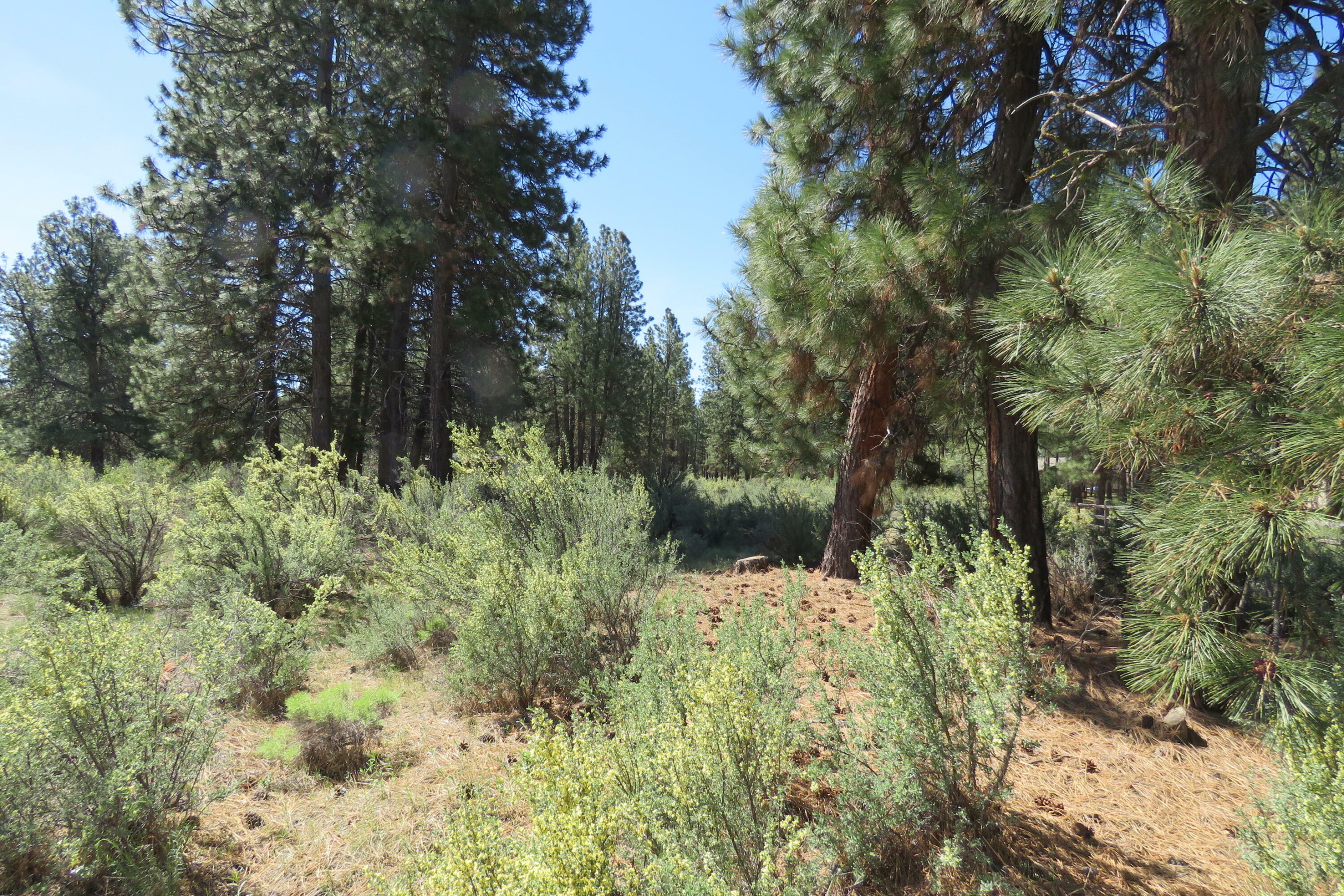 Property Photo: Castle Dr Lot 10 OR 97624