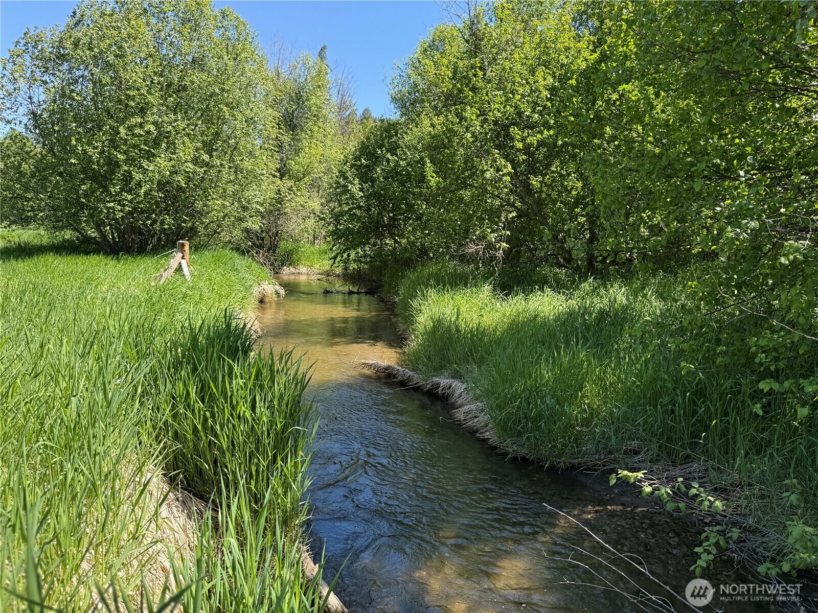 Property Photo: 333 Toroda Creek Road WA 99118