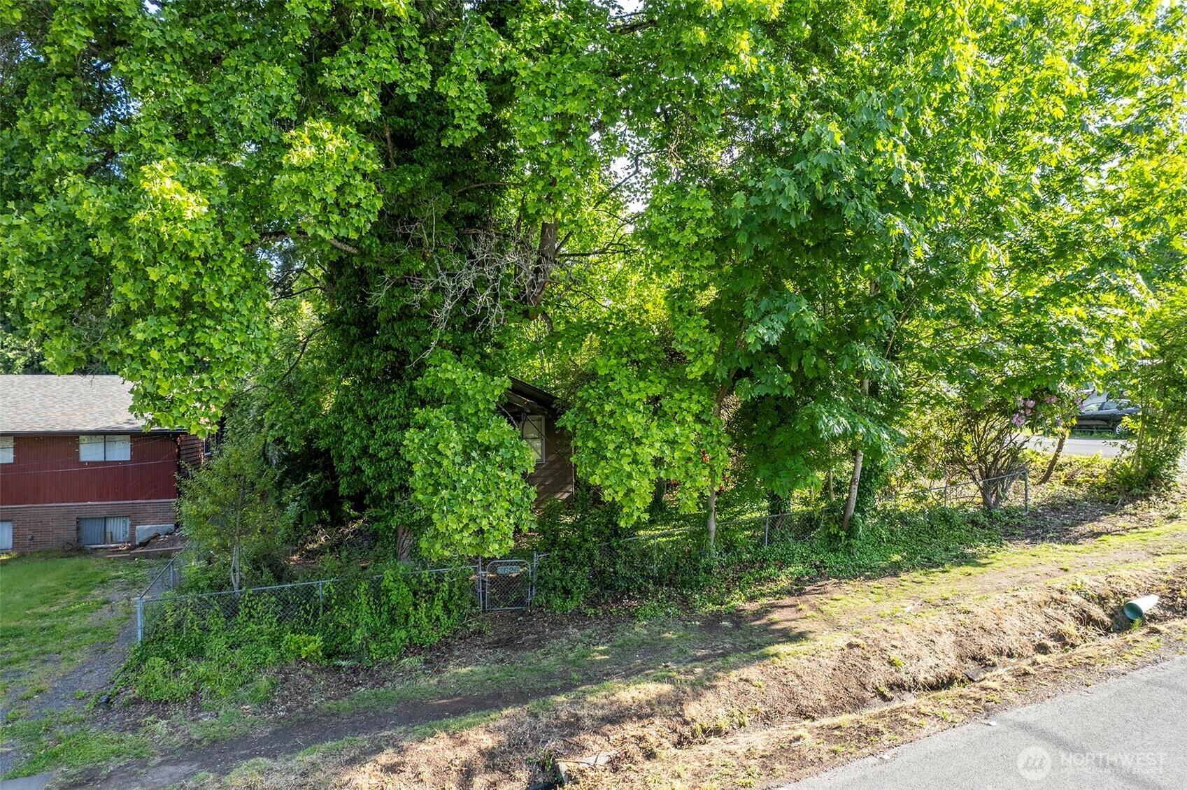 Property Photo:  3626 NE 115th Street  WA 98125 