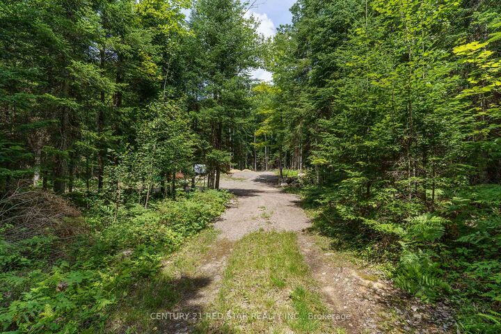 2978 Glamorgan Road  Highlands East ON K0M 1S0 photo