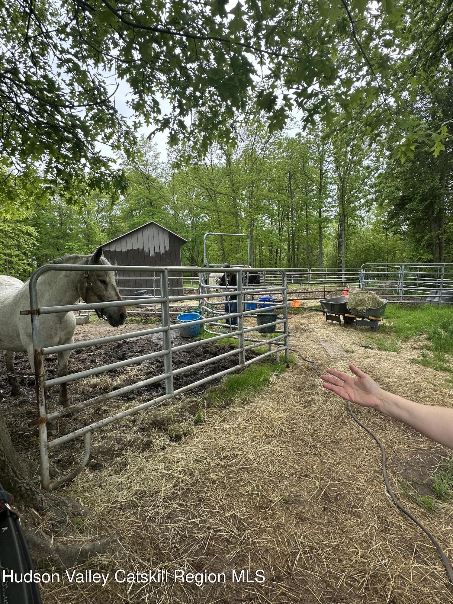 Property Photo: 165 W Camp NY 12477