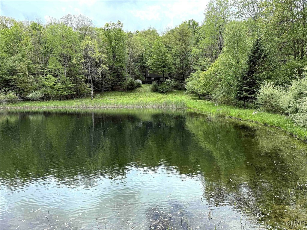 3304 Co Rd 22  Cameron NY 14820 photo