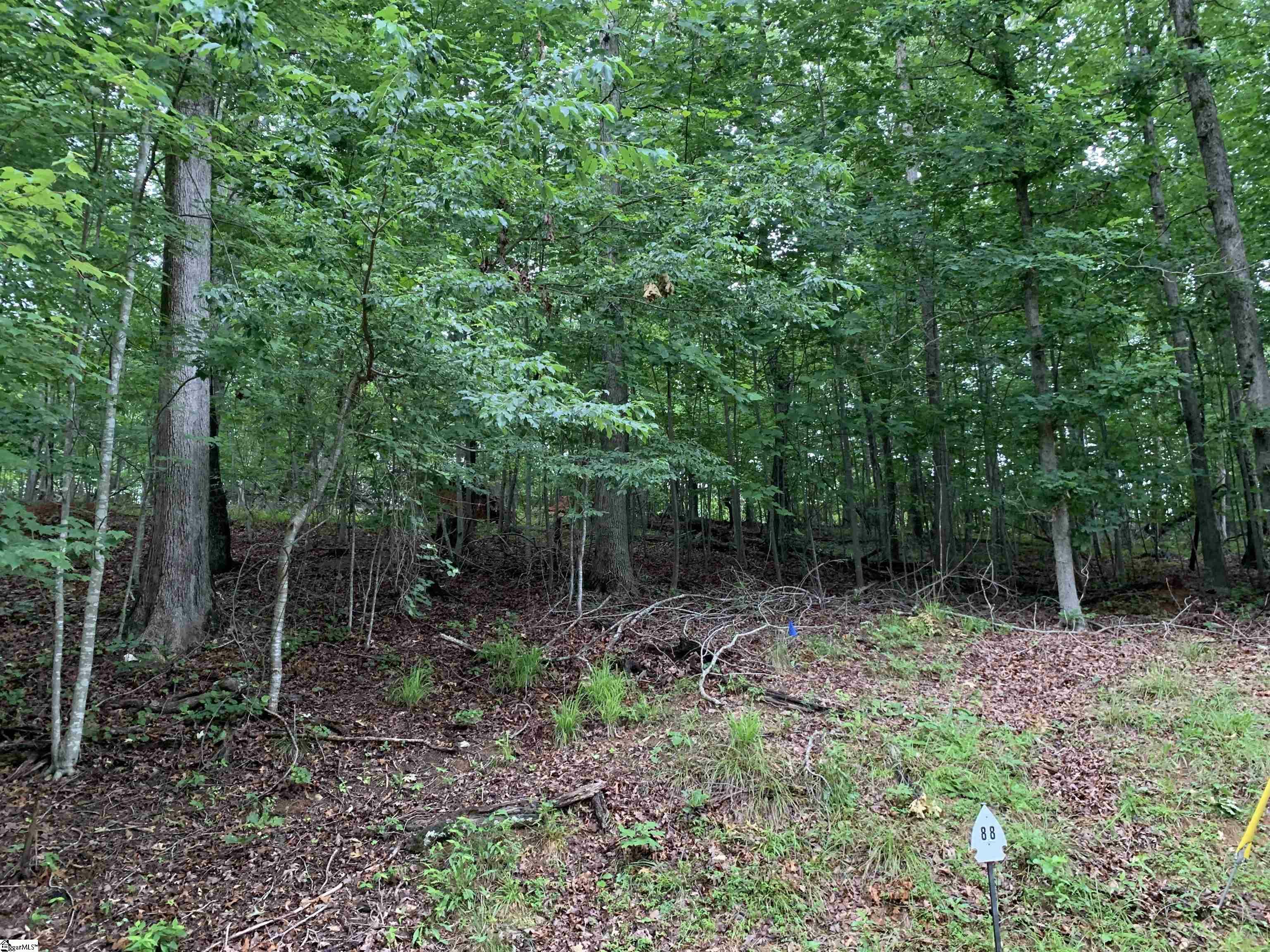Property Photo: 00 N Foxglove Road Lot #88 SC 29693