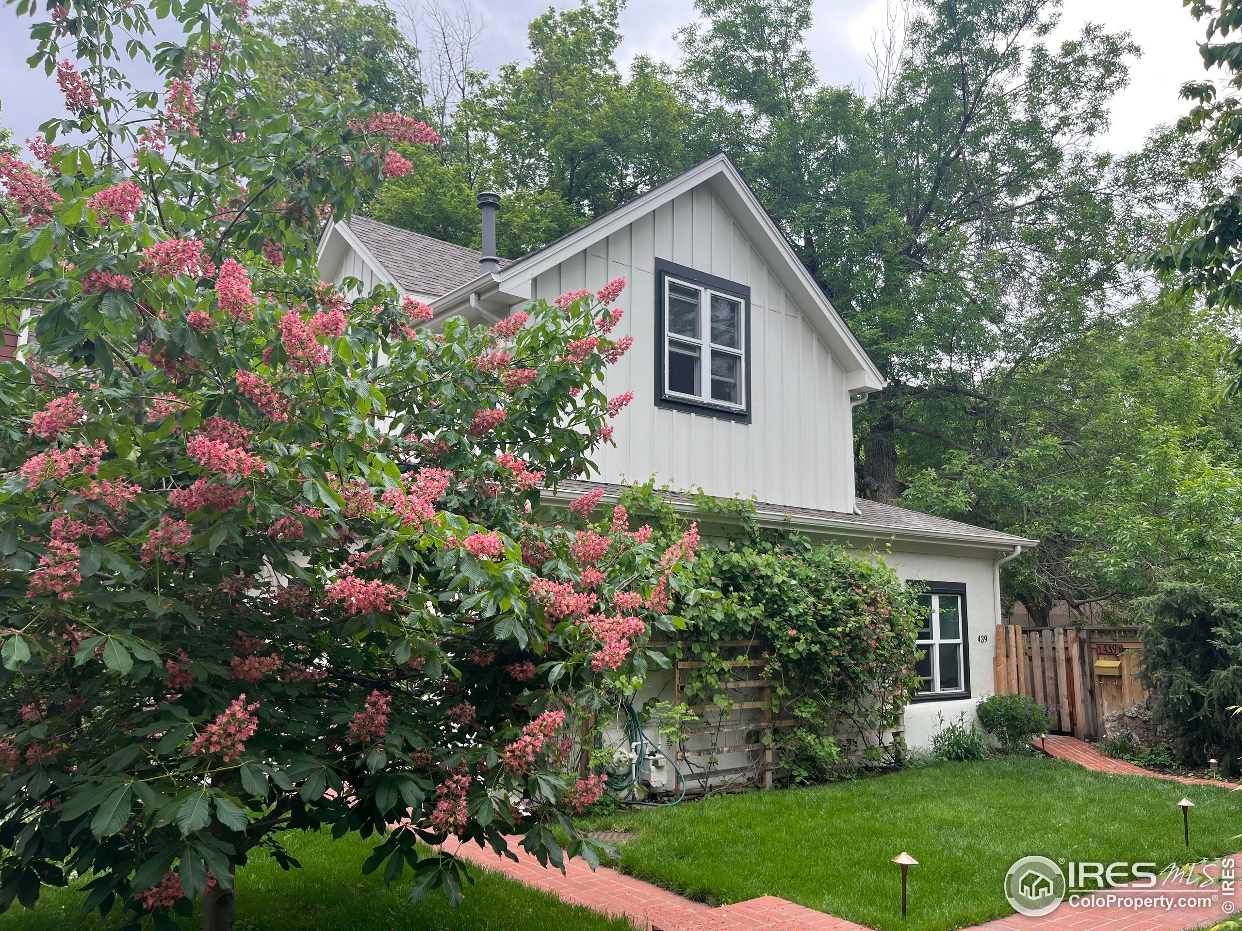 Property Photo:  439 Canyon Blvd 5  CO 80302 