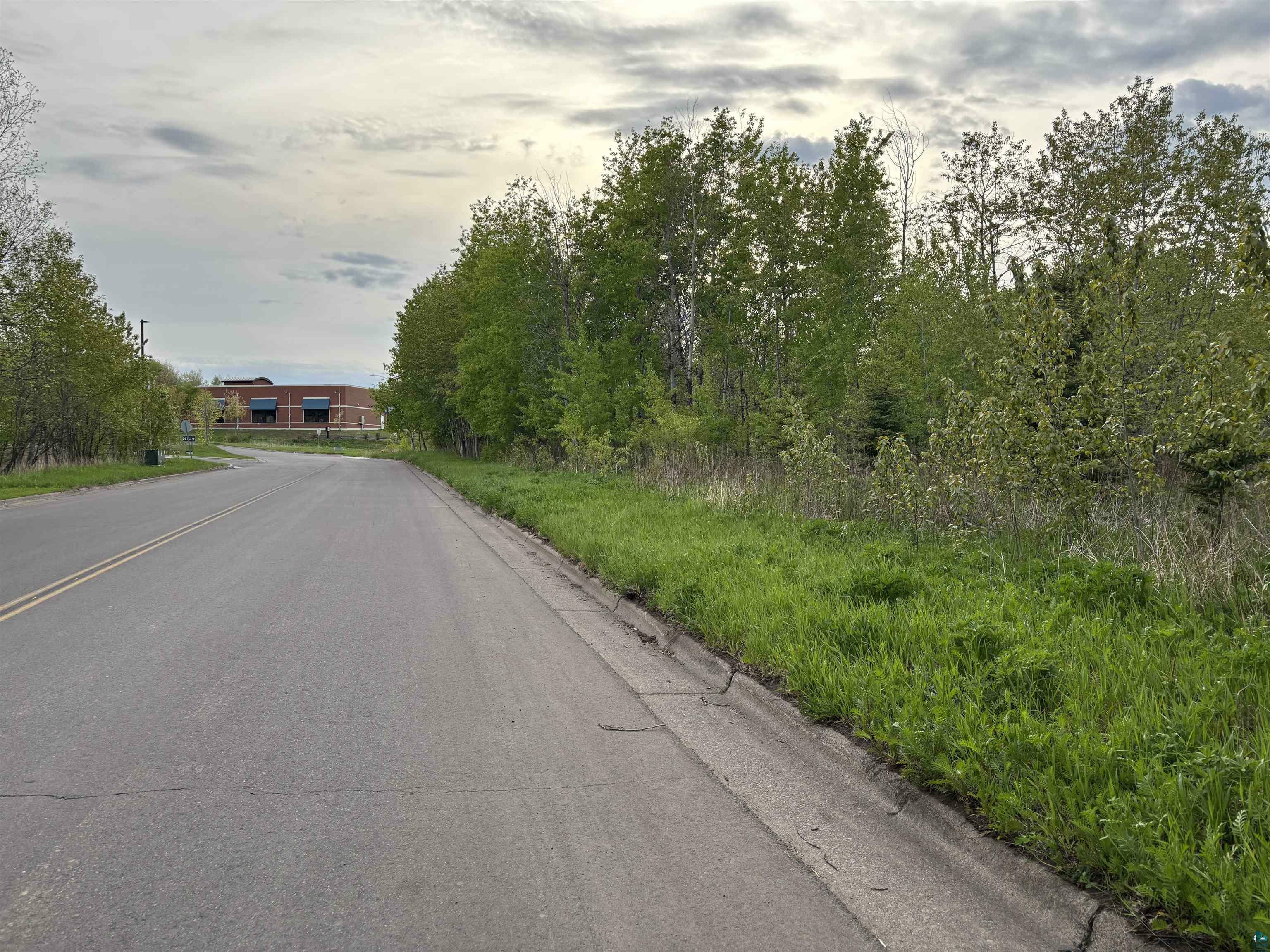 Property Photo: Xx W Myrtle St MN 55811
