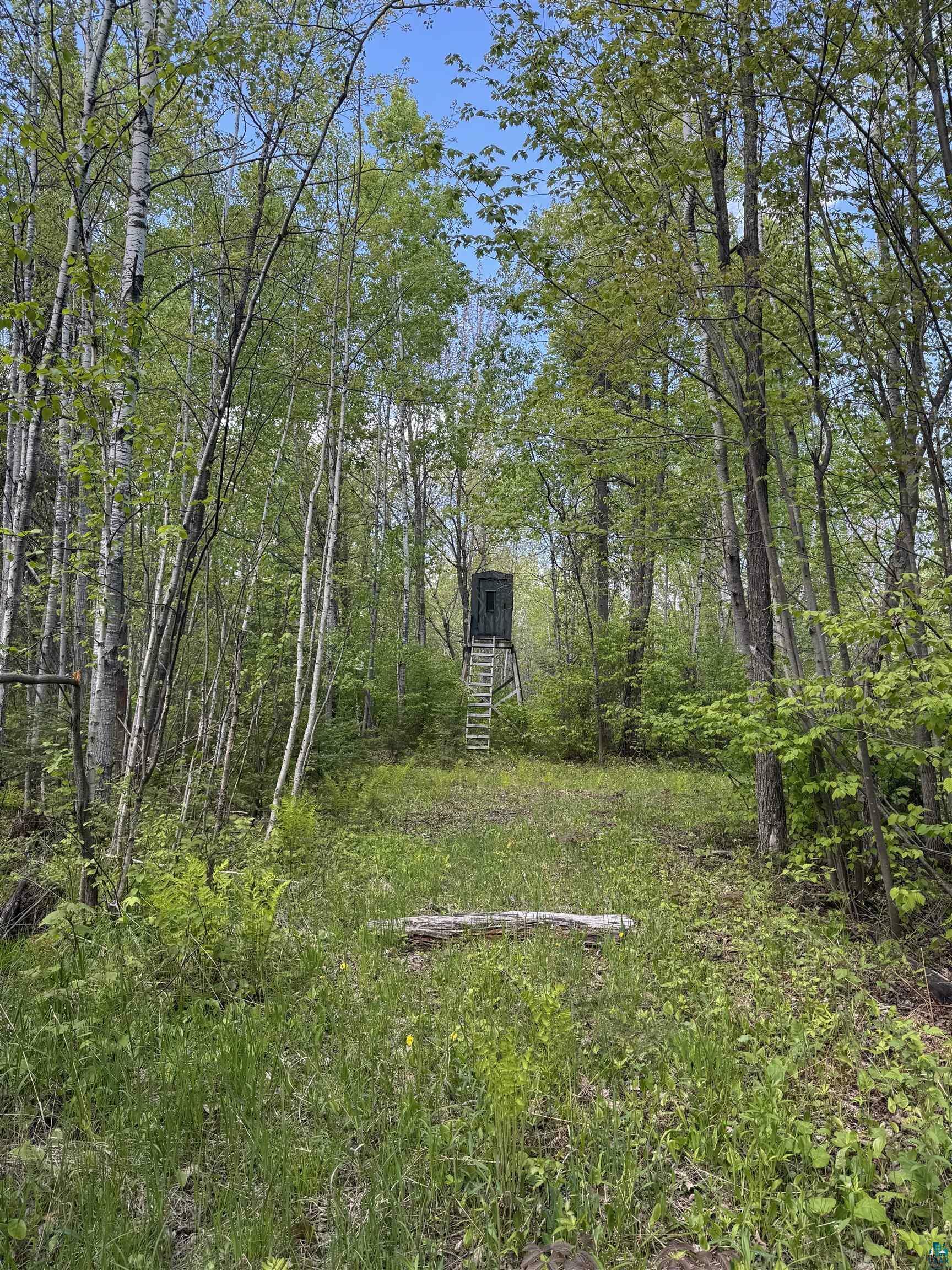 Property Photo: 7544E S Brannan Rd WI 54842