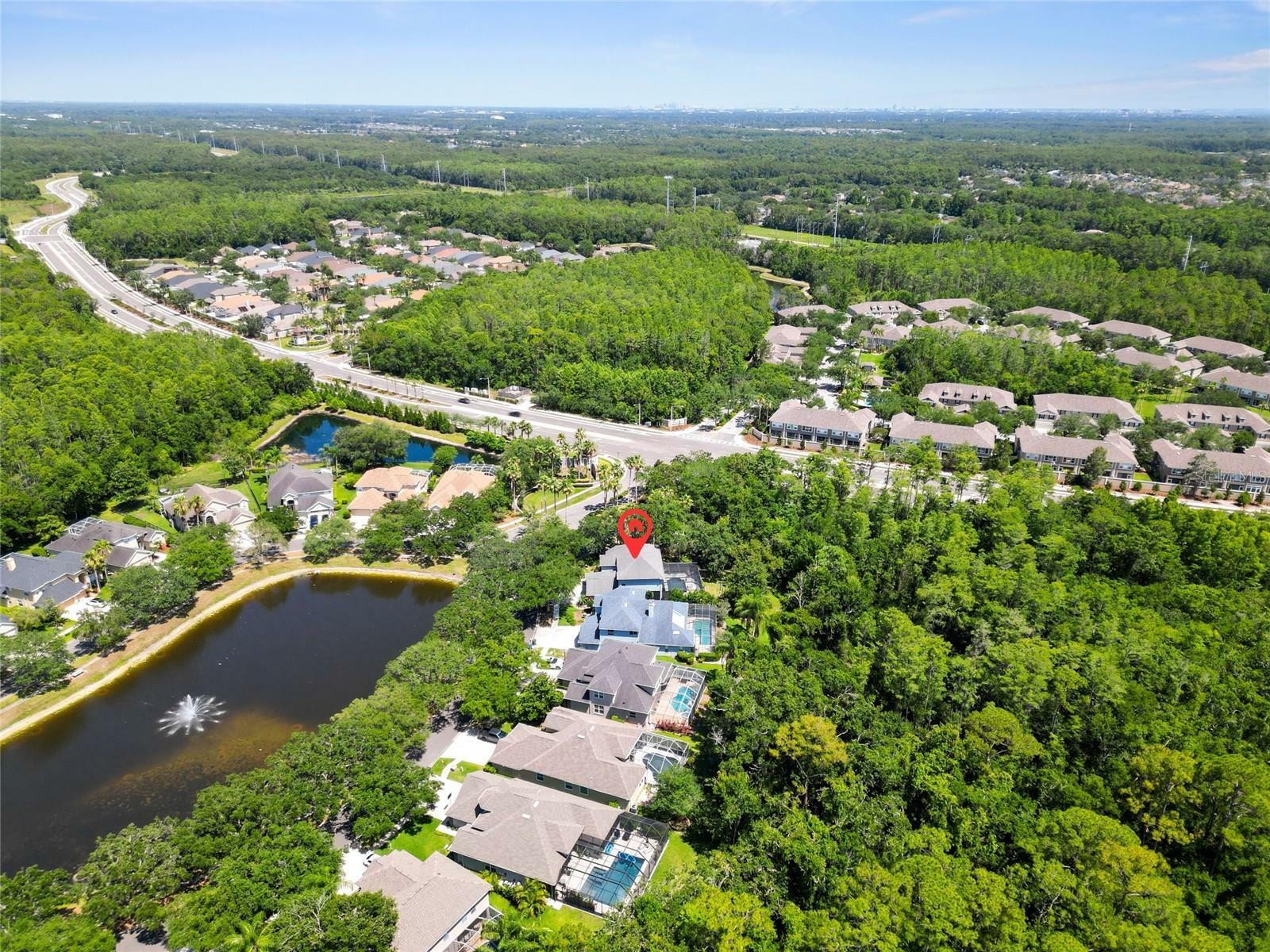 Property Photo: 11723 Gothic Lane FL 33626