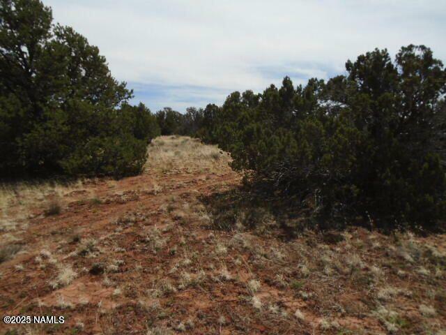 Property Photo:  4089 E Oakdale Road  AZ 86046 