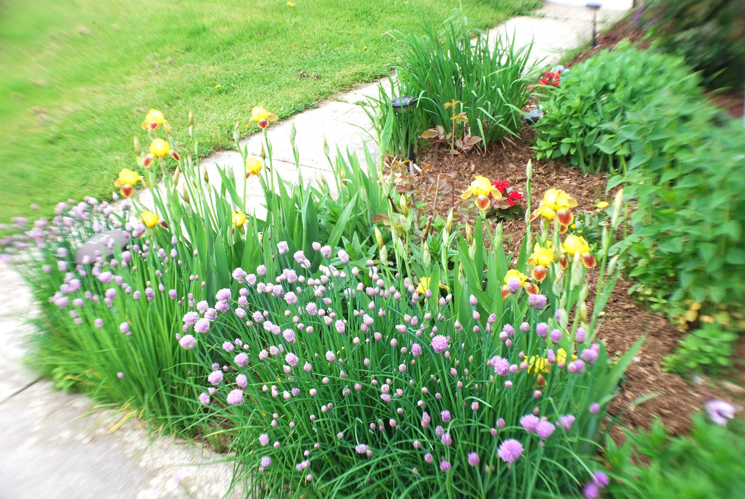 Property Photo: 190 Decker Road VT 05468