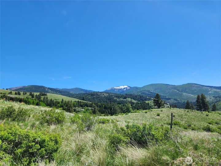 12  Dignity Ranch Road  Malo WA 99150 photo