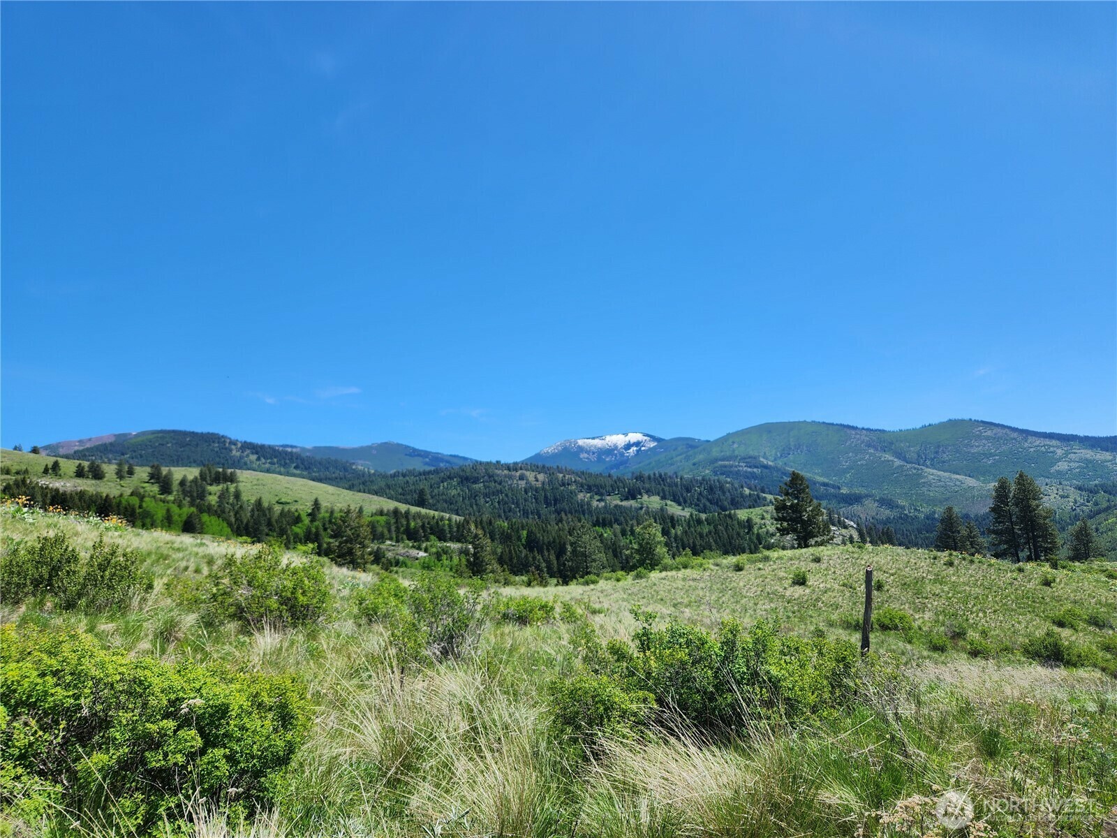 Property Photo: 12 Dignity Ranch Road WA 99150