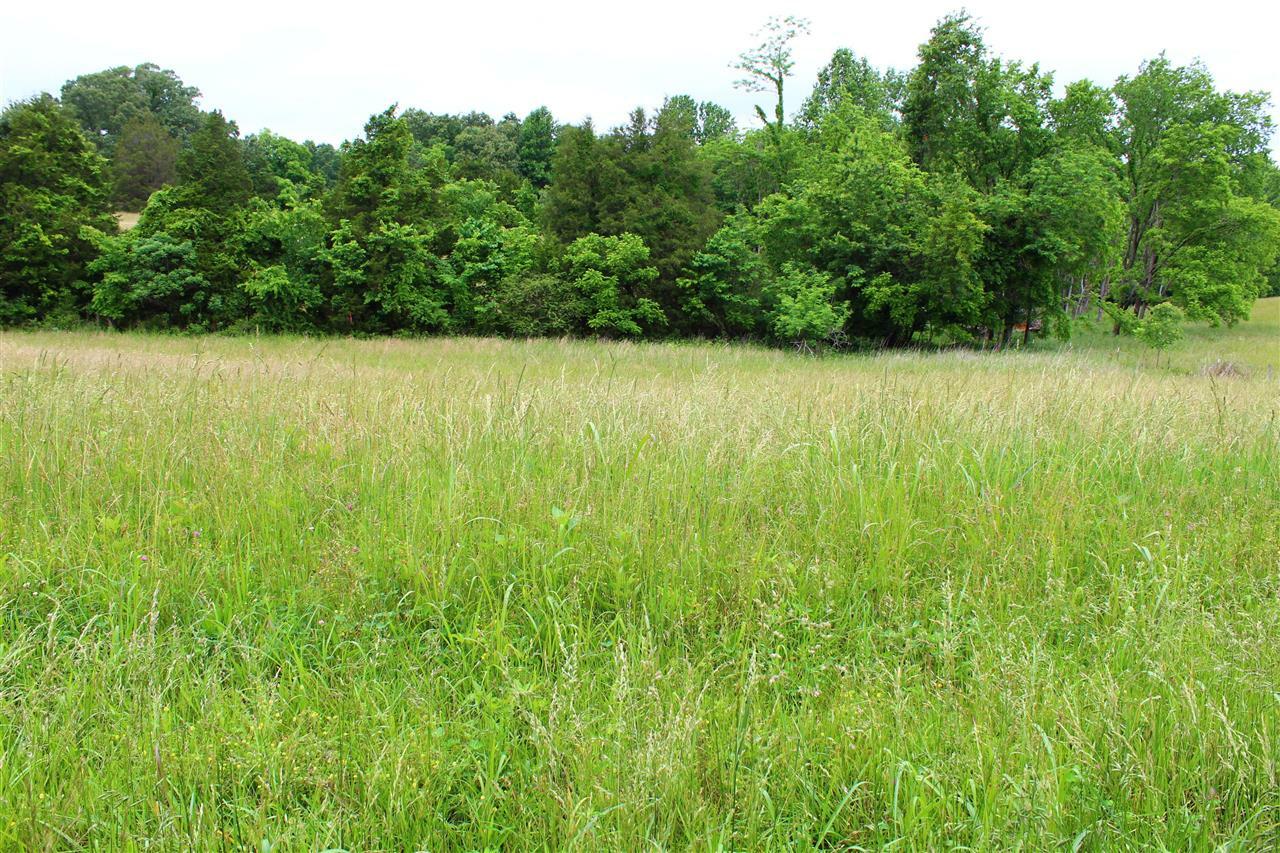Property Photo: 667 Calvert Road KY 42120