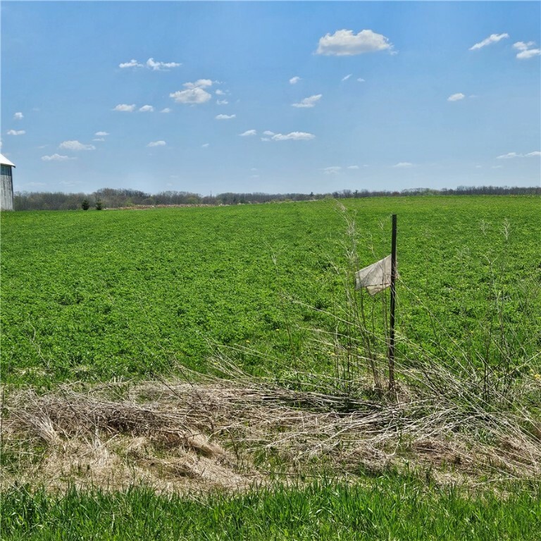 Property Photo: Tbd 870th Avenue WI 54767
