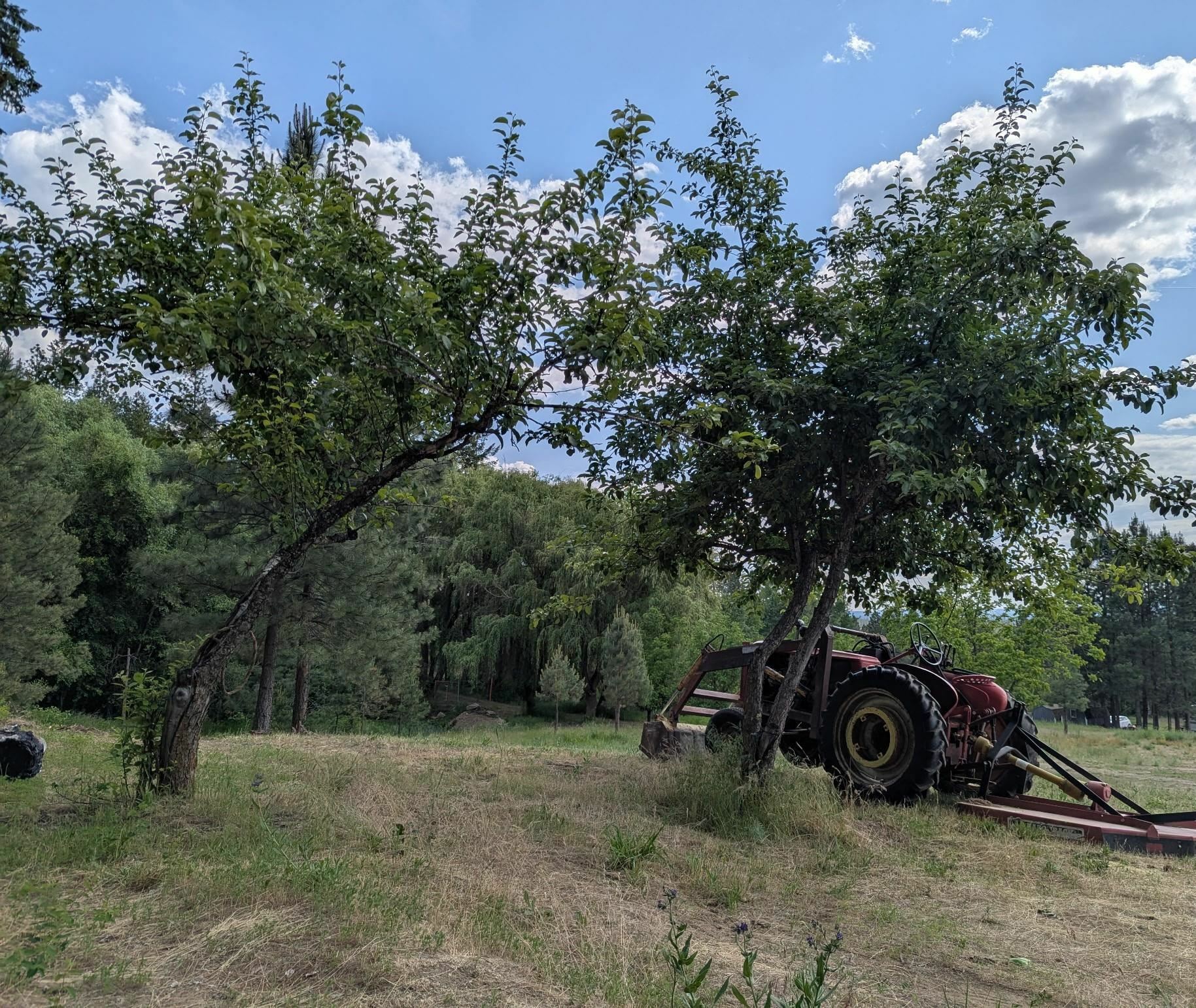 Property Photo: 29511 N Schwachtgen Rd WA 99003