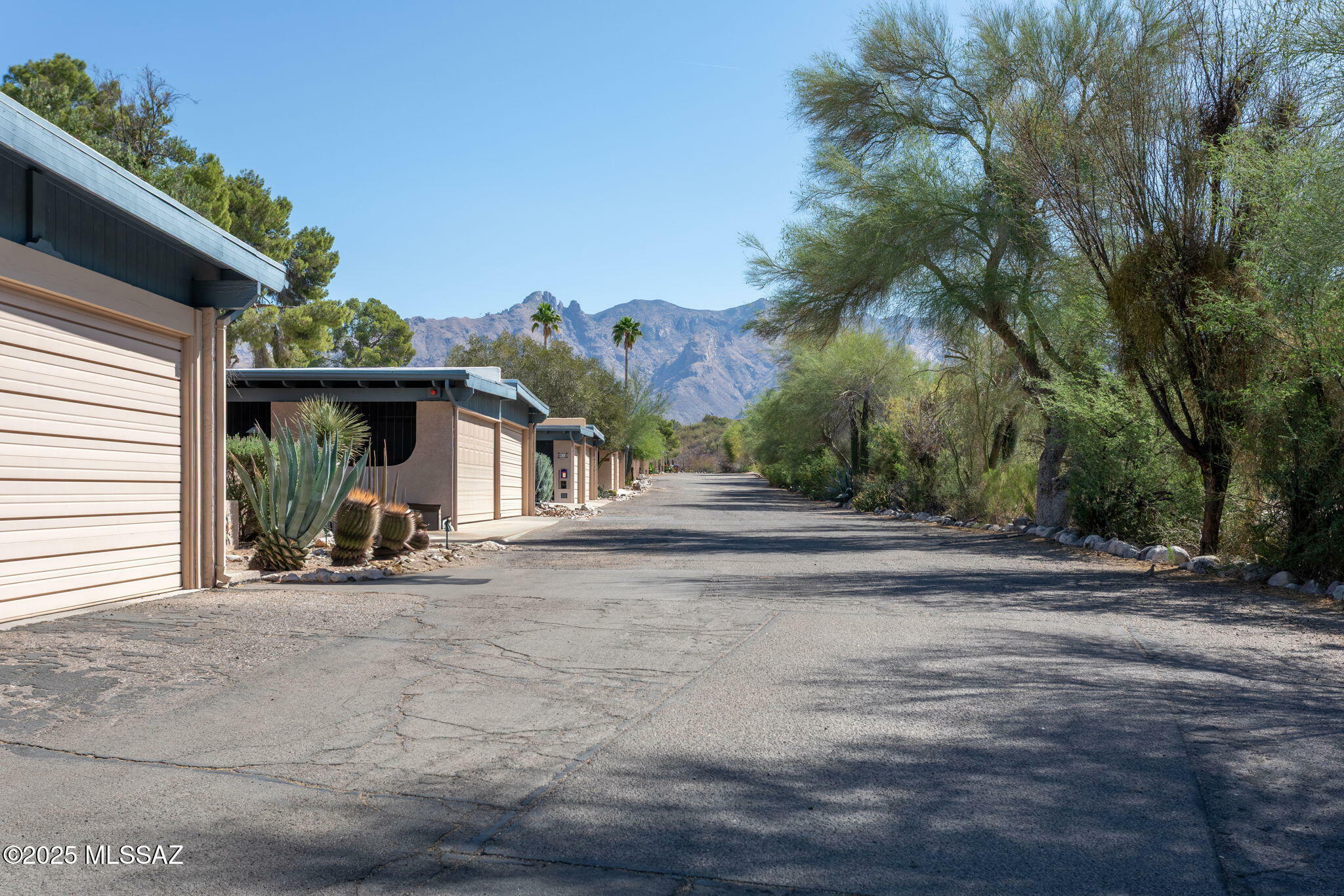 Property Photo: 4736 N Calle Lampara AZ 85718