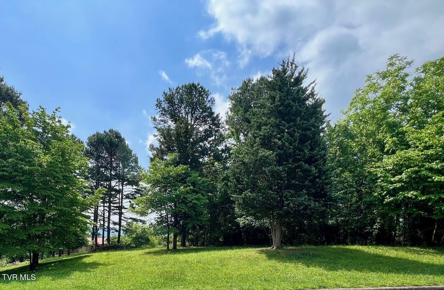 Property Photo: 00 Welch Road TN 37660