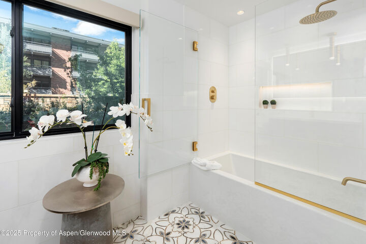 Property Photo:  617 E Cooper Avenue Unit 110  CO 81611 