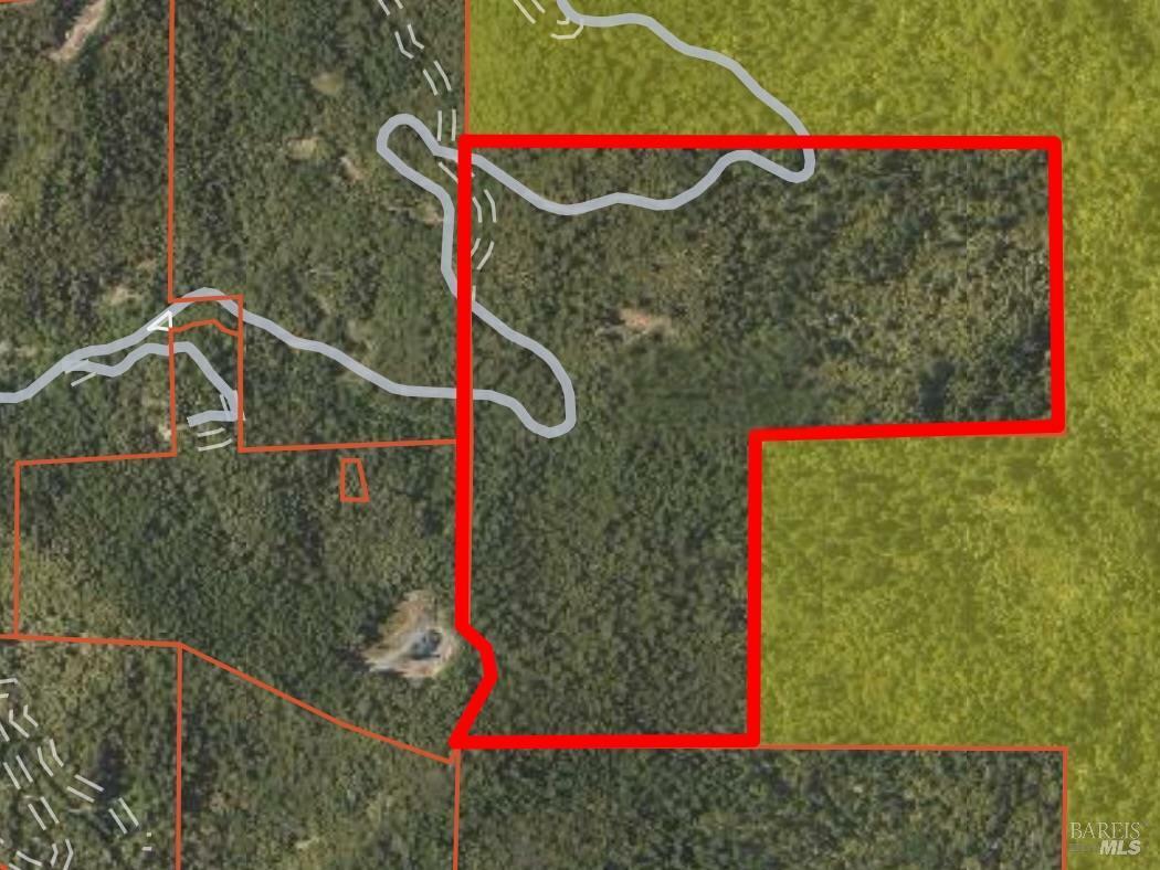 Property Photo: 0 Little Dan Creek Road CA 95585
