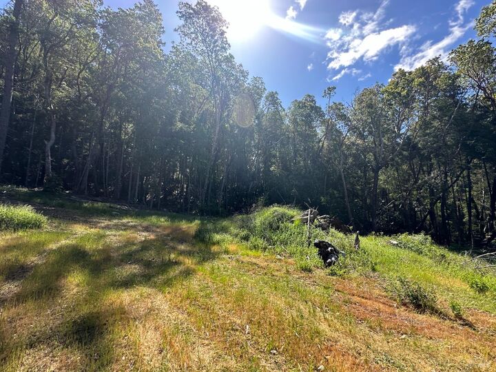 Property Photo:  0 Little Dan Creek Road  CA 95585 