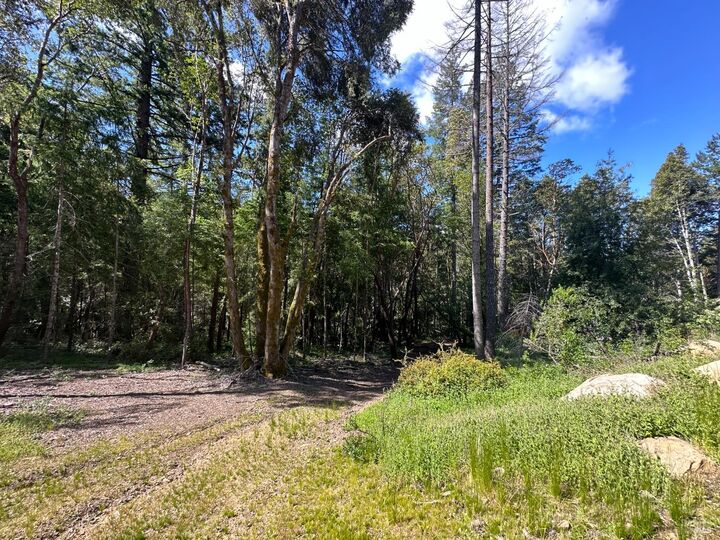 Property Photo:  0 Little Dan Creek Road  CA 95585 