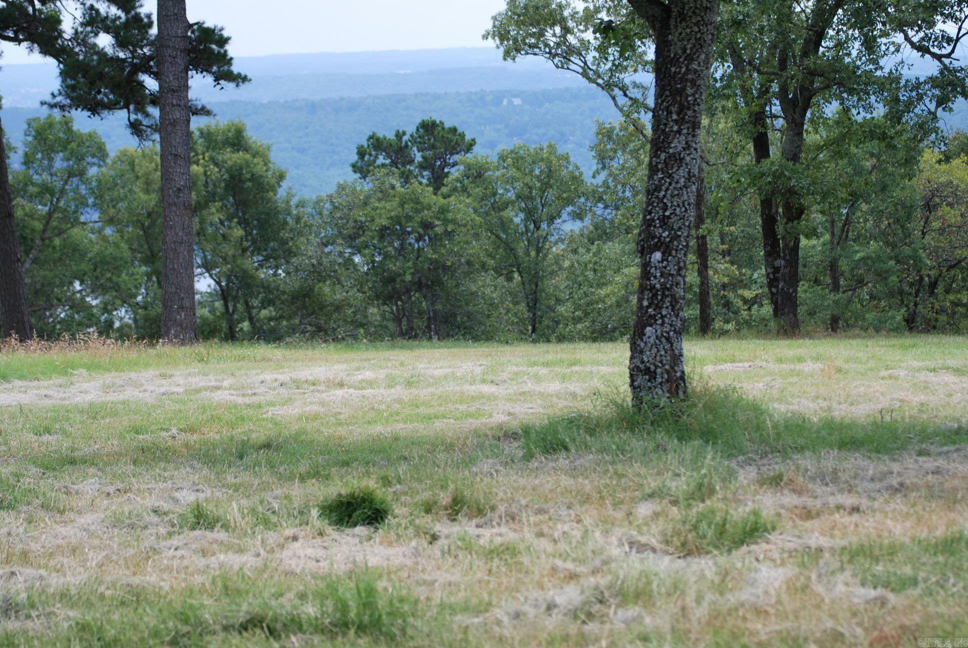 Property Photo: 000 Honeysuckle Lane AR 72131