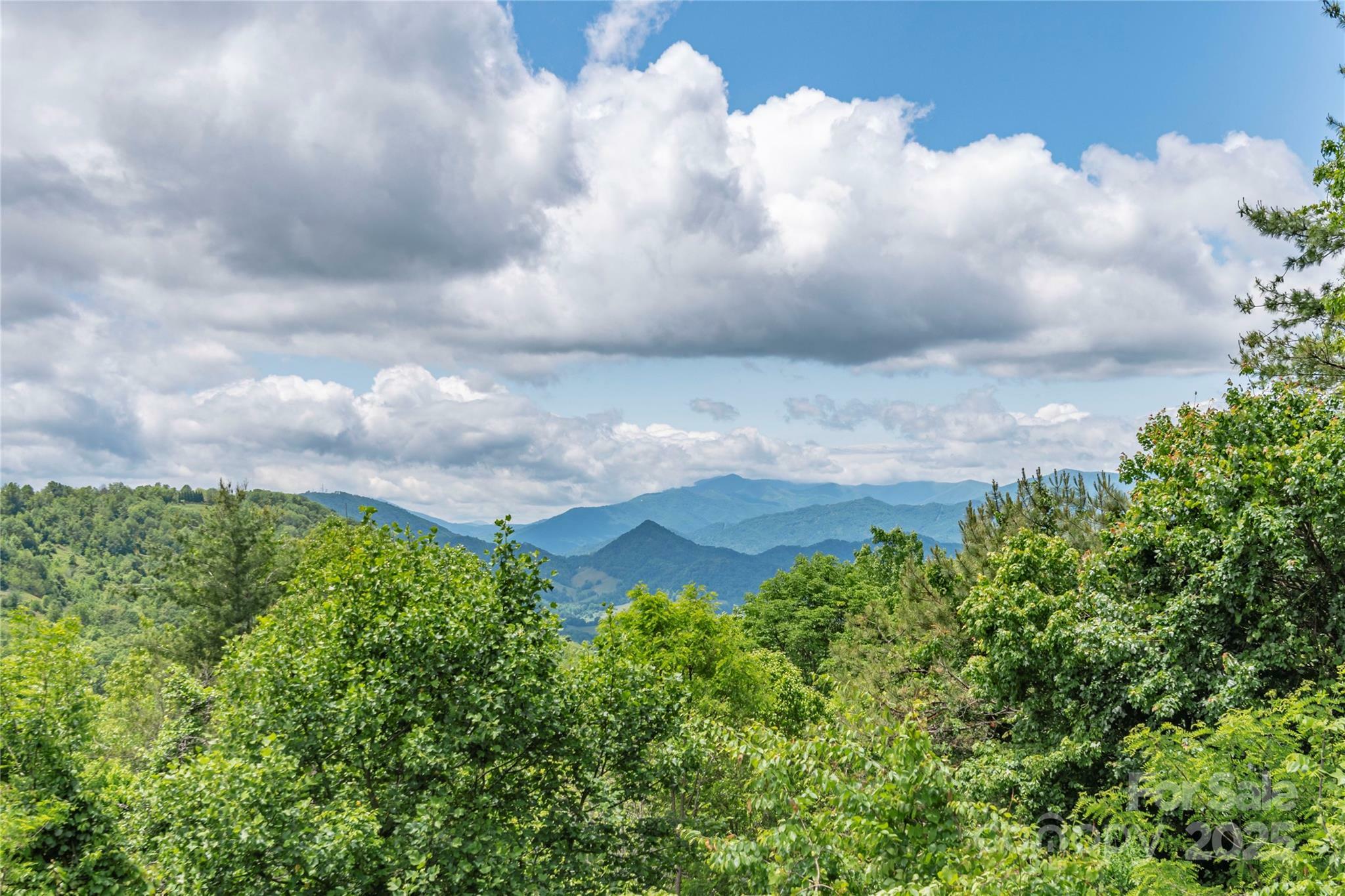 Property Photo: 1706 Rock House Cove Road NC 28721