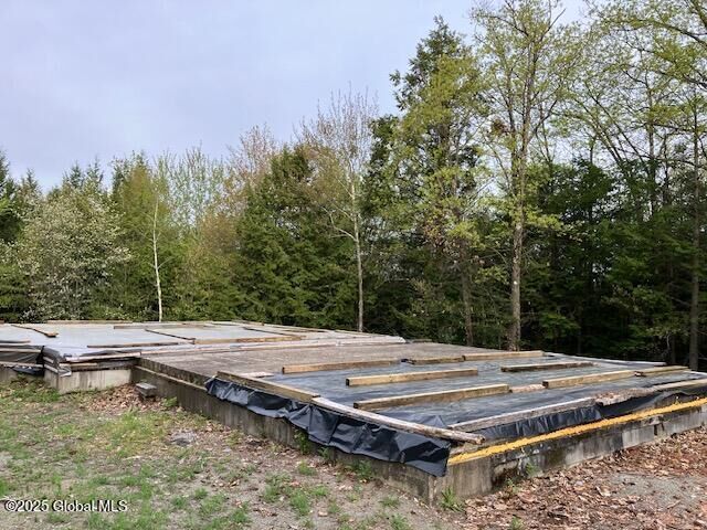 Property Photo:  90 Indian Summit Drive  NY 12814 