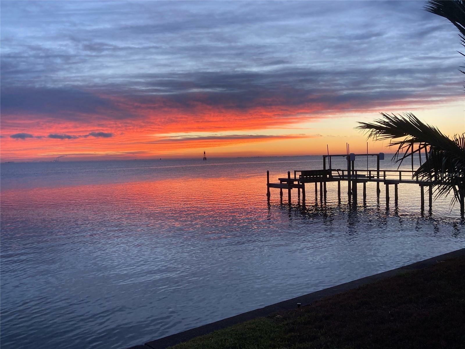 Property Photo: 1967 Brightwaters Boulevard NE FL 33704