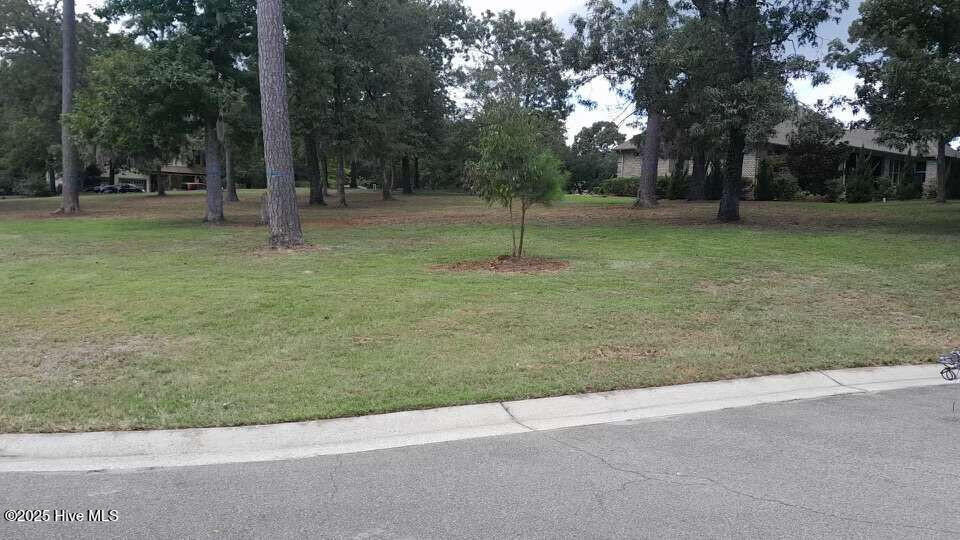 Property Photo:  Lot 17 Thornton Drive  NC 28443 
