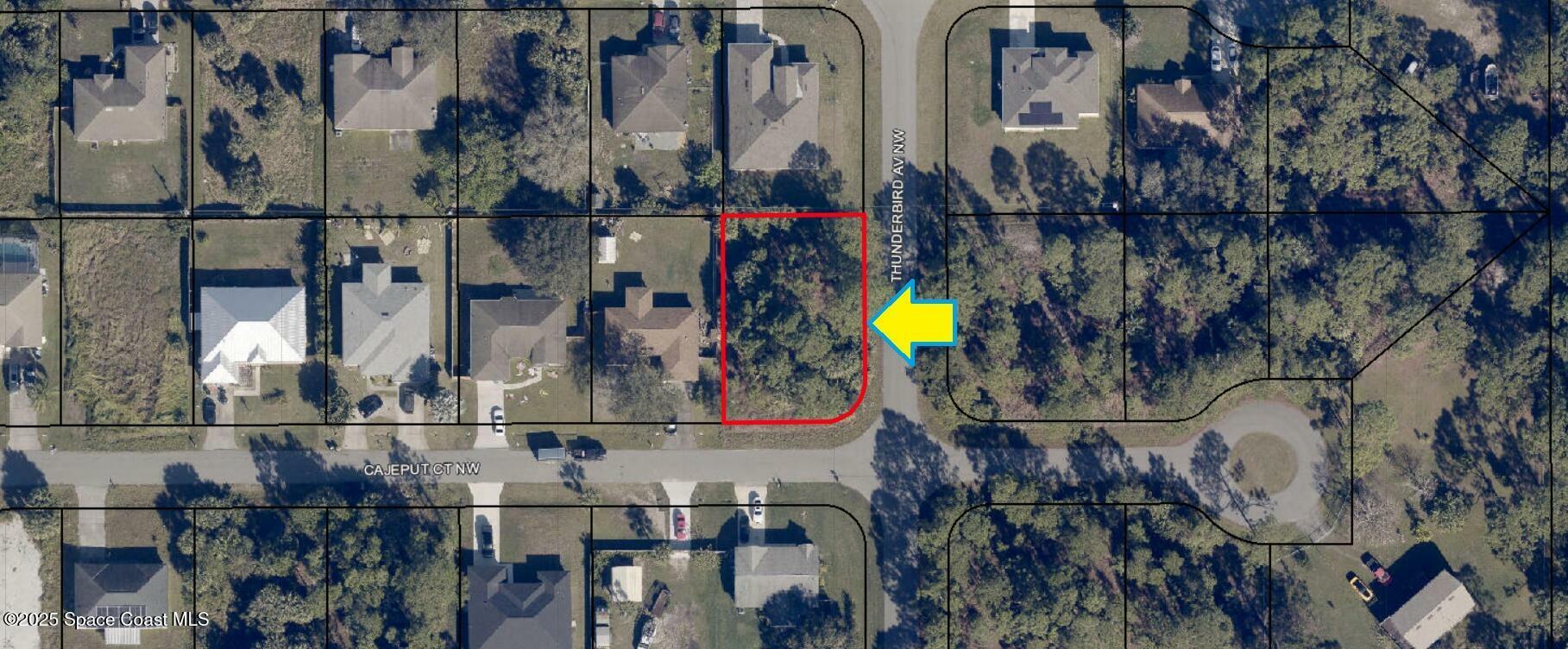 Property Photo: 1833 Corner Lot On Cajeput Court NW FL 32907