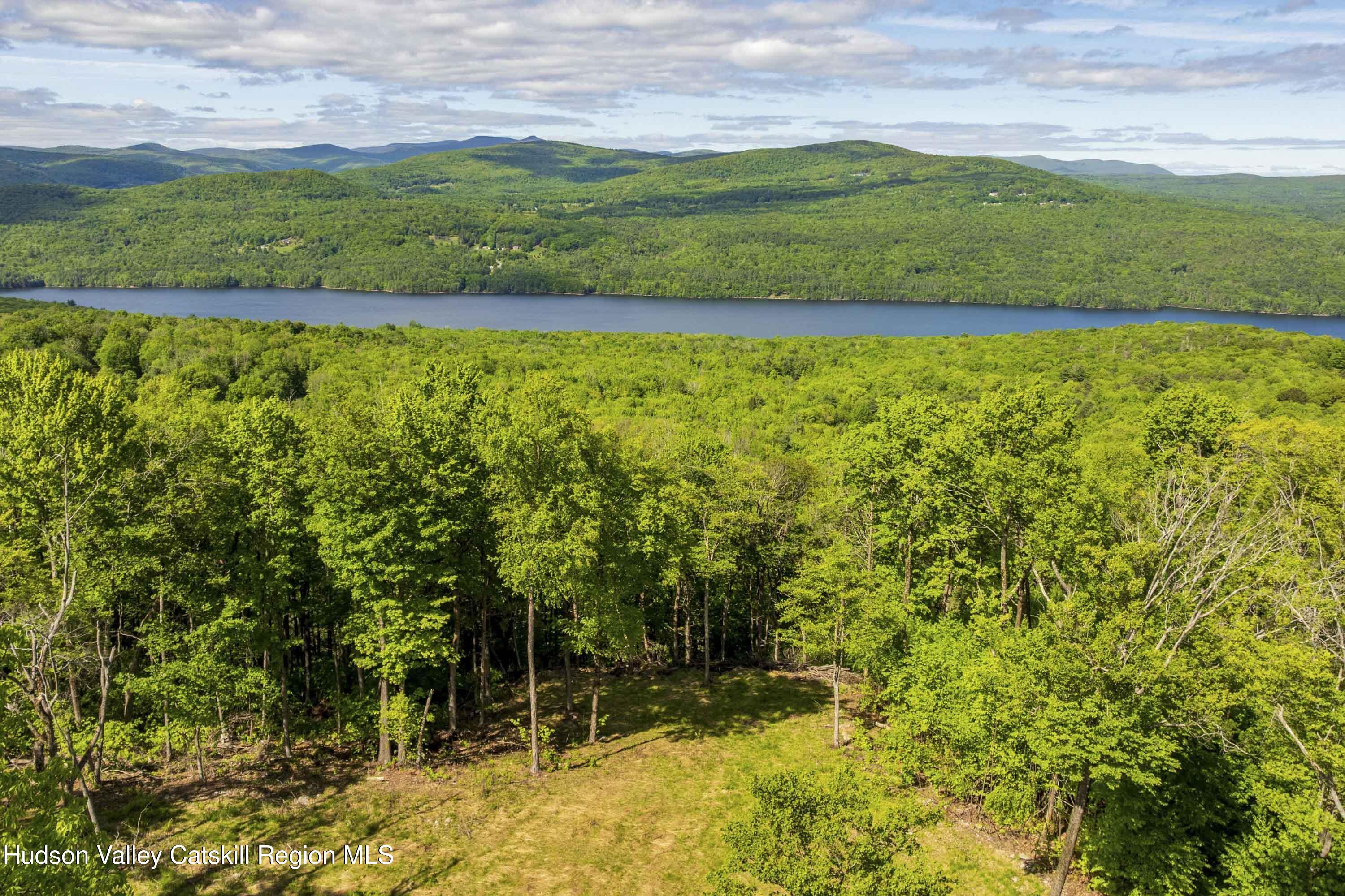 Property Photo:  3 Red Rock  NY 12489 
