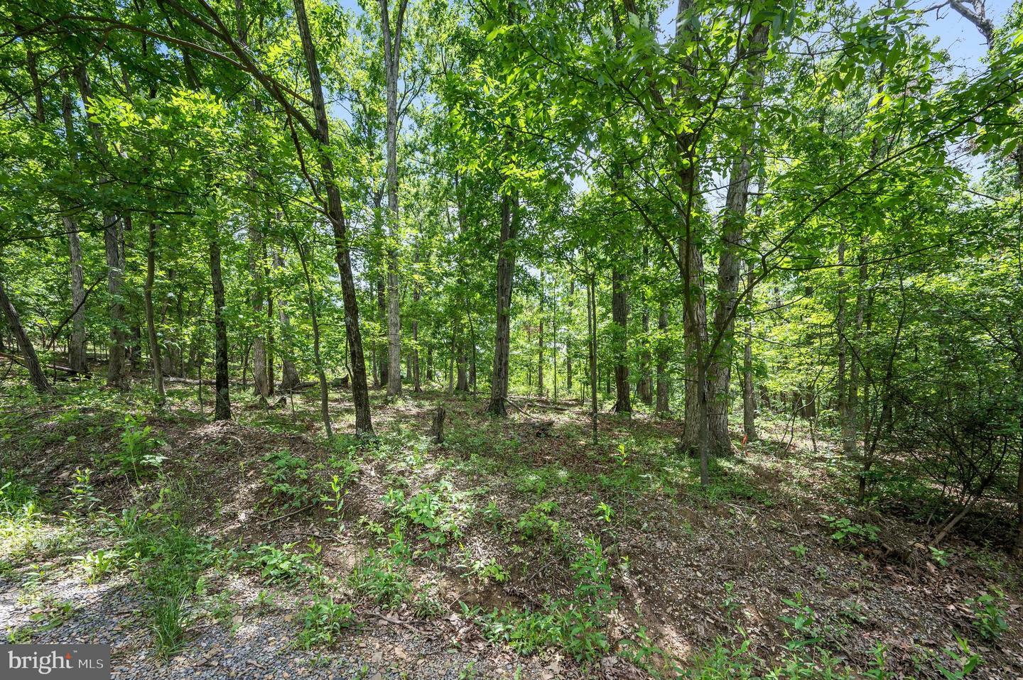 Property Photo: Lot 8 Glen Ridge Road VA 22601