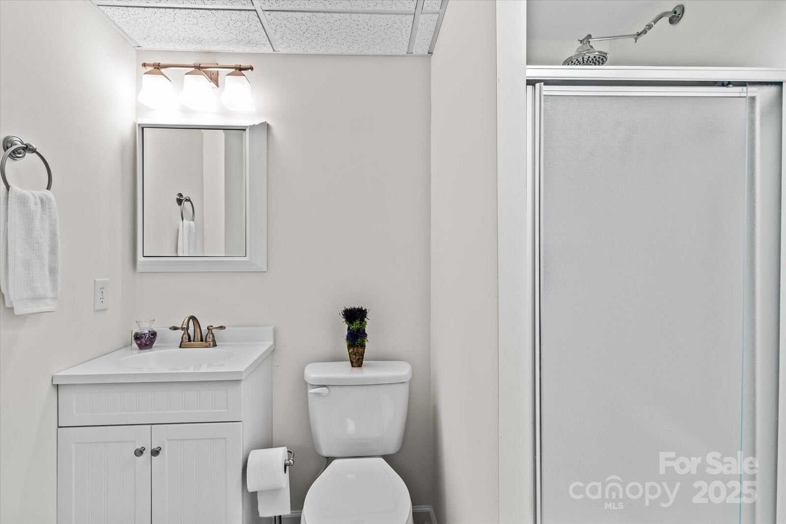 Property Photo:  147 Bluewing Lane 274  NC 28117 