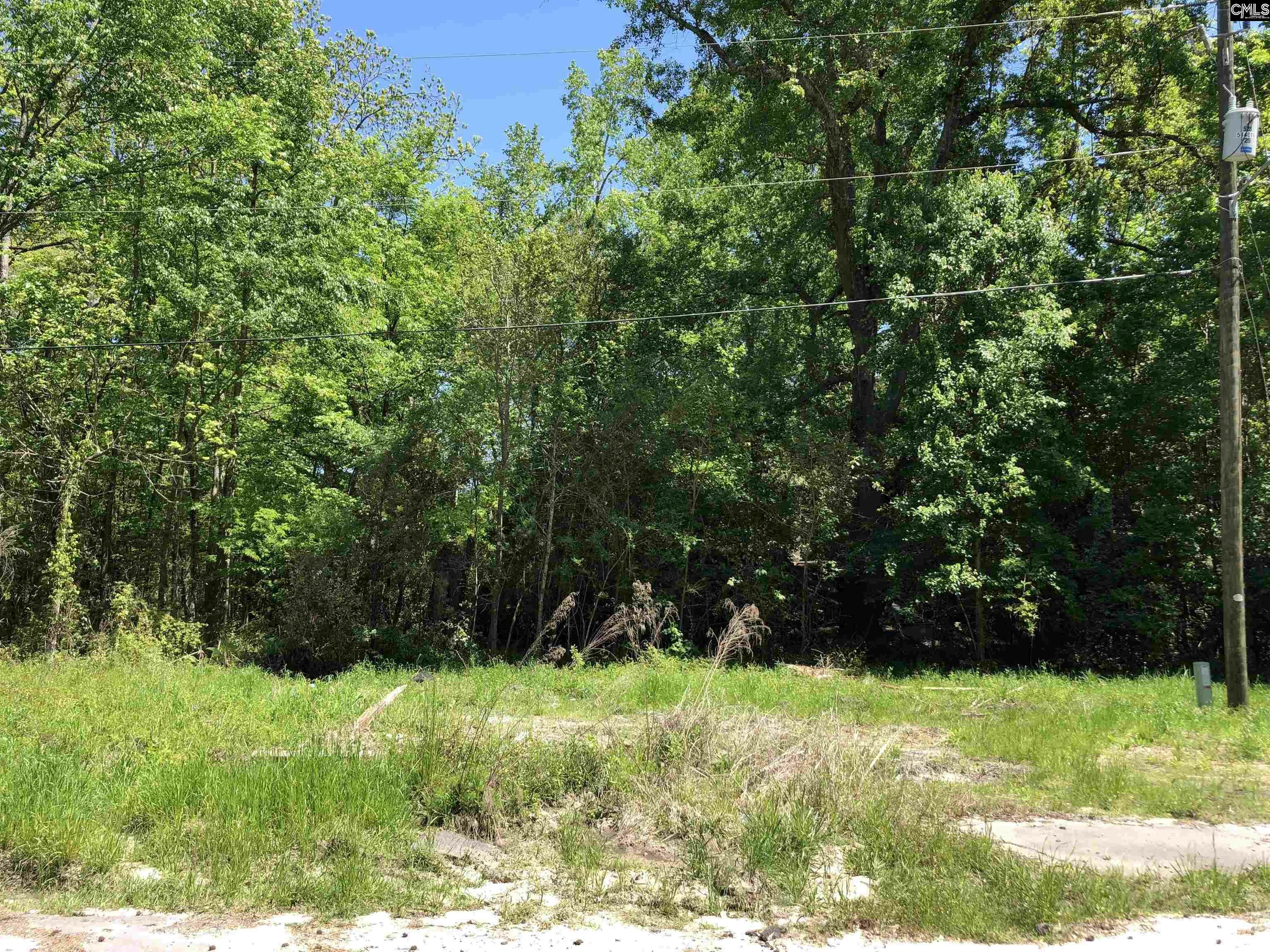 Property Photo:  378 Cypress  SC 29042 