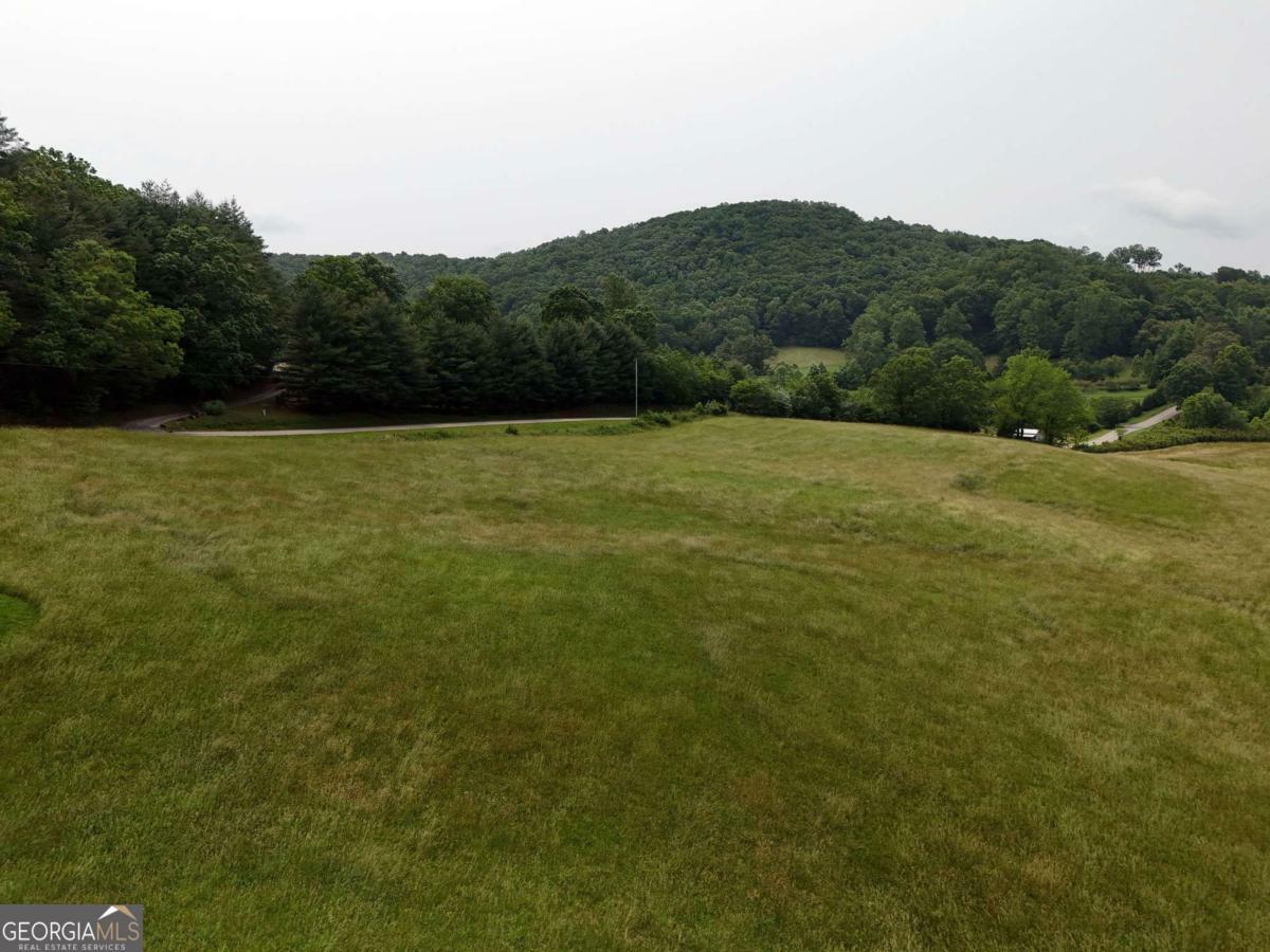 Property Photo: 7.85 Ac Lower Trackrock Road Tr1a71b GA 30512