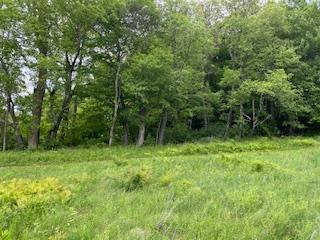 Property Photo: 4950 Route 44 NY 12501