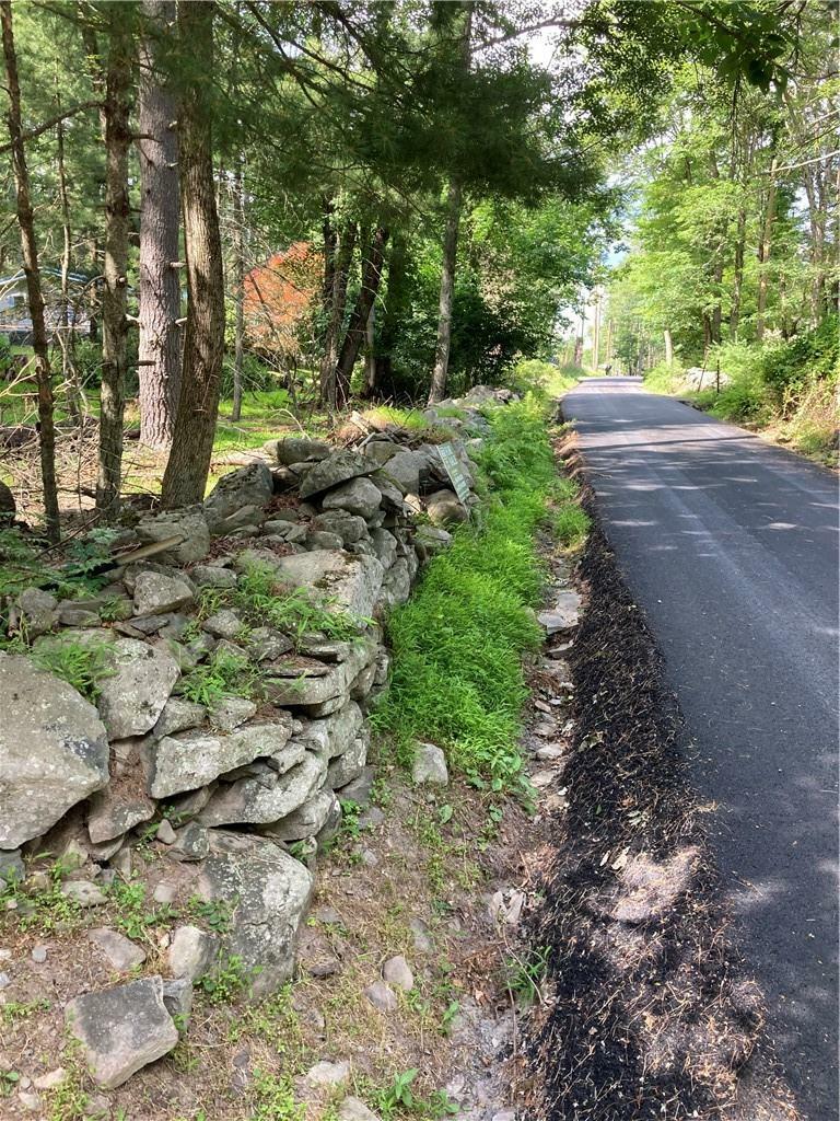 Property Photo: Irishtown Road NY 12764