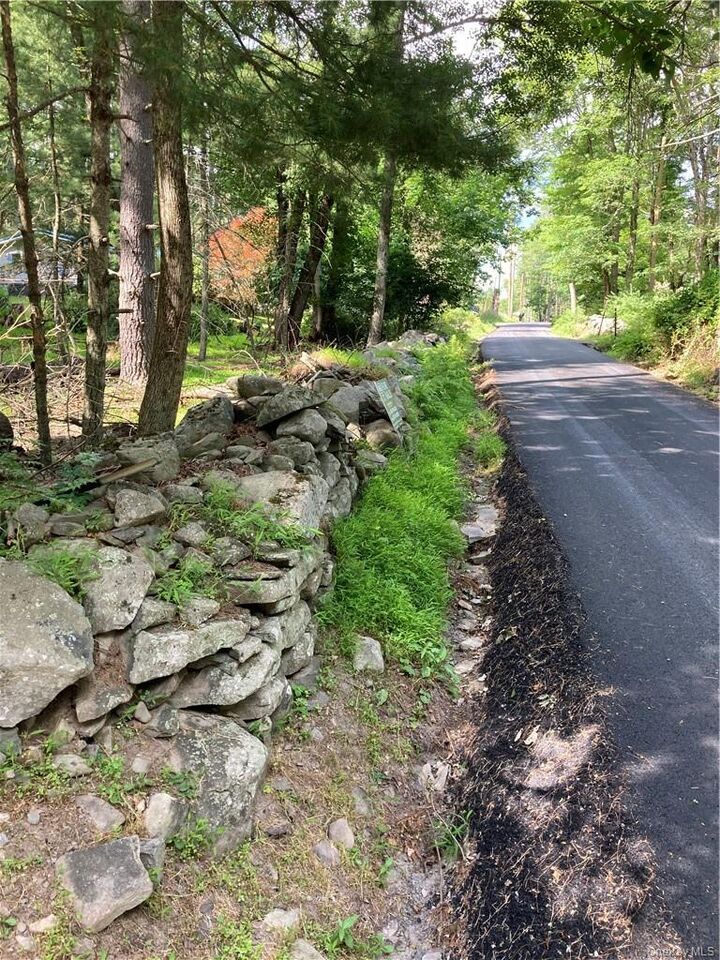Property Photo:  Irishtown Road  NY 12764