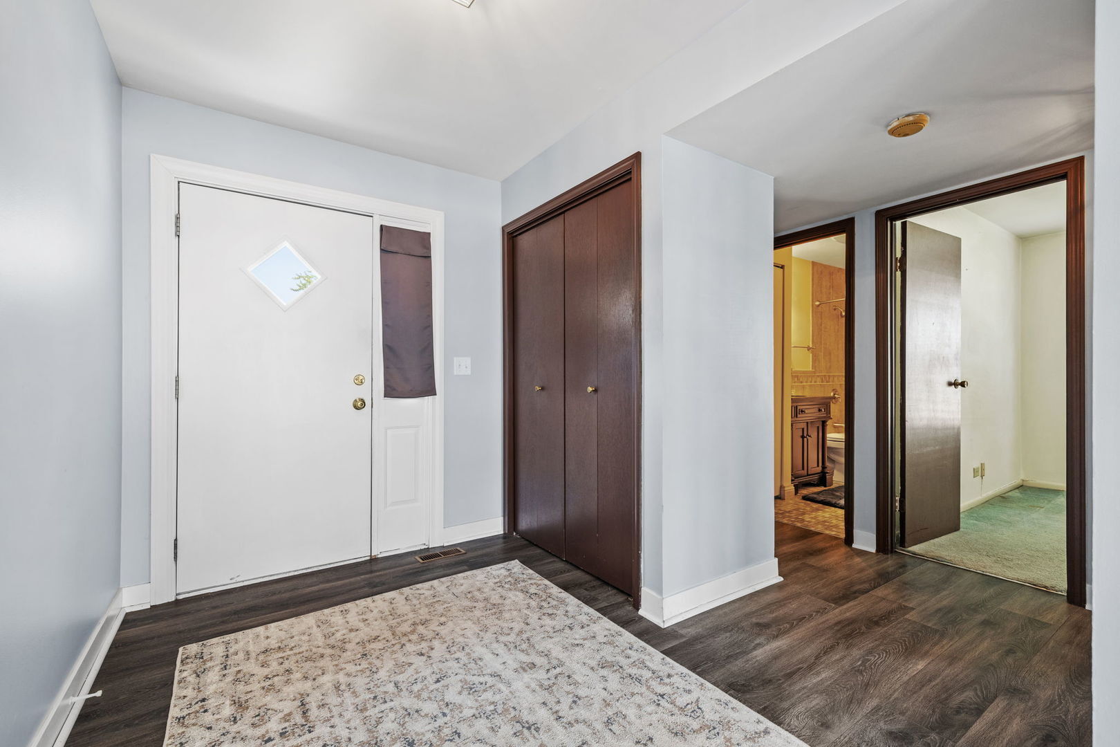 Property Photo: 160 Brookside Drive IL 60139